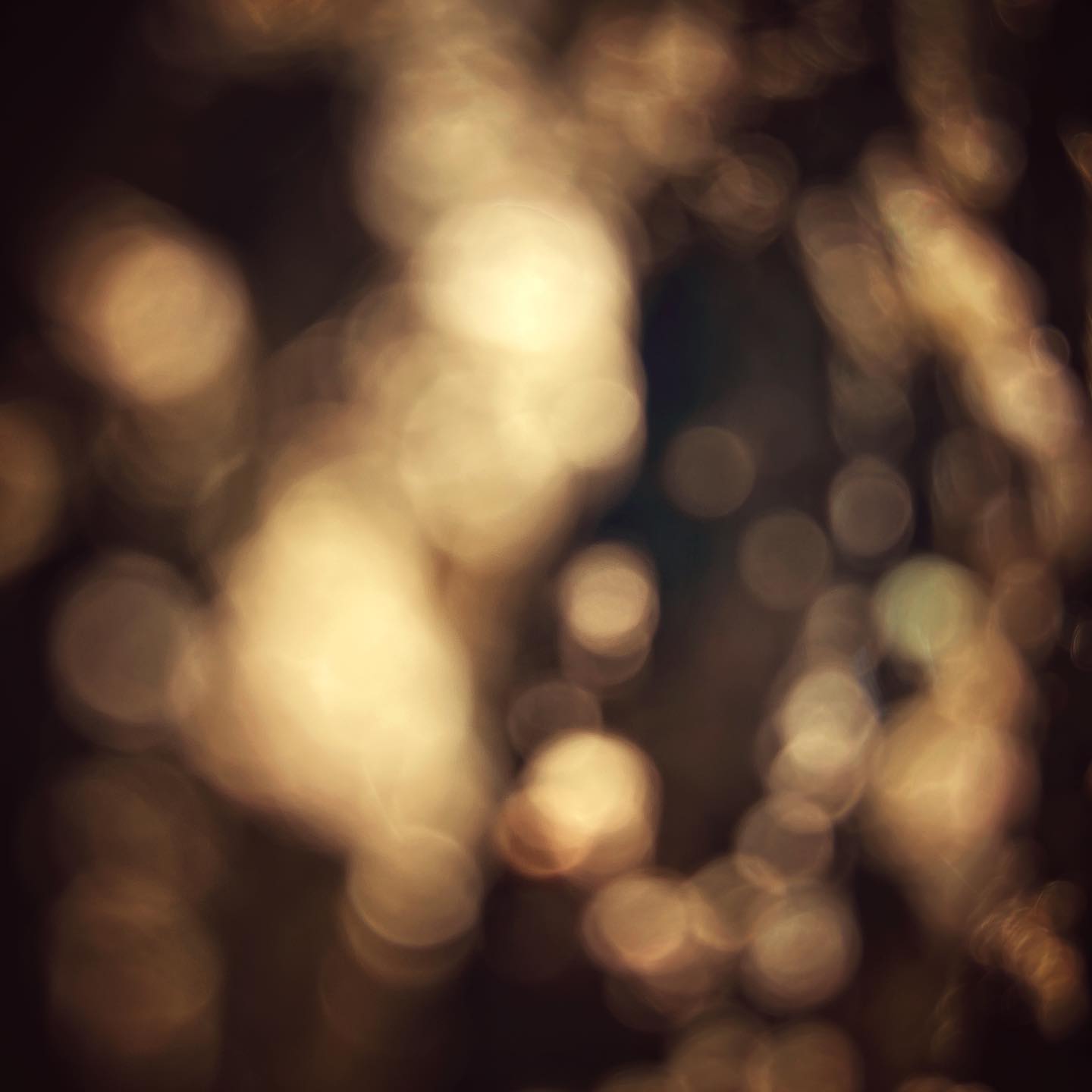 ✨Aeon is everywhere
Cover image is a slightly edited close up of black walnut tree bark from the front yard.
I had been struggling with ideas and went out with a spray bottle so droplets of water could catch the light.
#newmusic #ambient #meditation #music #singer #meditative #meditationmusic #aeon