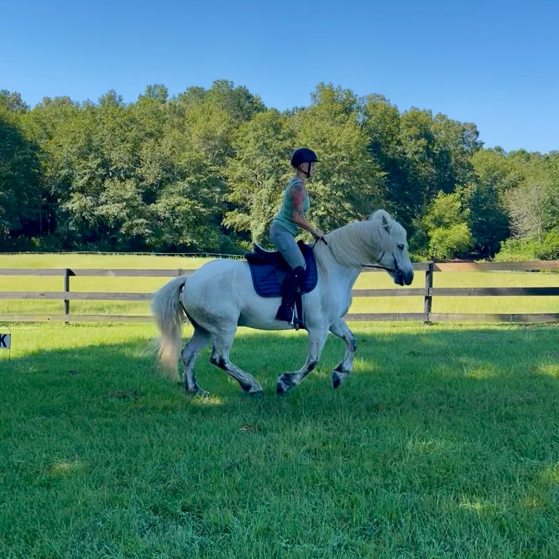 Yup… I’m a dressage trainer who often times teaches canter work to both riders and horses in a light seat.
Depending on the horse; or the rider, or sometimes both, a light seat can be beneficial in staying out of the horse’s way and learning to keep a lighter seat.
At this point in his schooling, when Ollie picks up a canter, he can often times dramatically launch into it and it can sometimes feel like he’s about to take off at Mach 10 (i promise he doesn’t it’s his solution to trying to lift his big body 😆).
It’s easy for students to feel like they need to be a bit more defensive in their riding, grip with the leg or get tense in their upper body. It’s instinctual for your body to want to protect itself. So I will have them go into a half seat while they are learning his canter transition. The important thing to keep in mind is that even though your booty is not making contact with the saddle, you still need to be cognizant of staying engaged and in balance. This will then help with finding rhythm and balance in the canter without feeling the need to ride defensively.
On the horse’s end… Ollie demonstrates beautifully how a balanced light seat can provide room for a horse to engage and come up in the front end. I LOVE this for young and green horses who aren’t quite prepared for an engaged full contact seat. I’ve found that a lot of times this can actually drive the spine down without the intention of doing so on a horse who isn’t quite built up to go there. It’s hard work and a lot to ask of a young horse. Similarly to the rider, the light seat can also help the horse find their rhythm and balance in the canter
#classicaldressage #dressagehorse #lessonhorse
