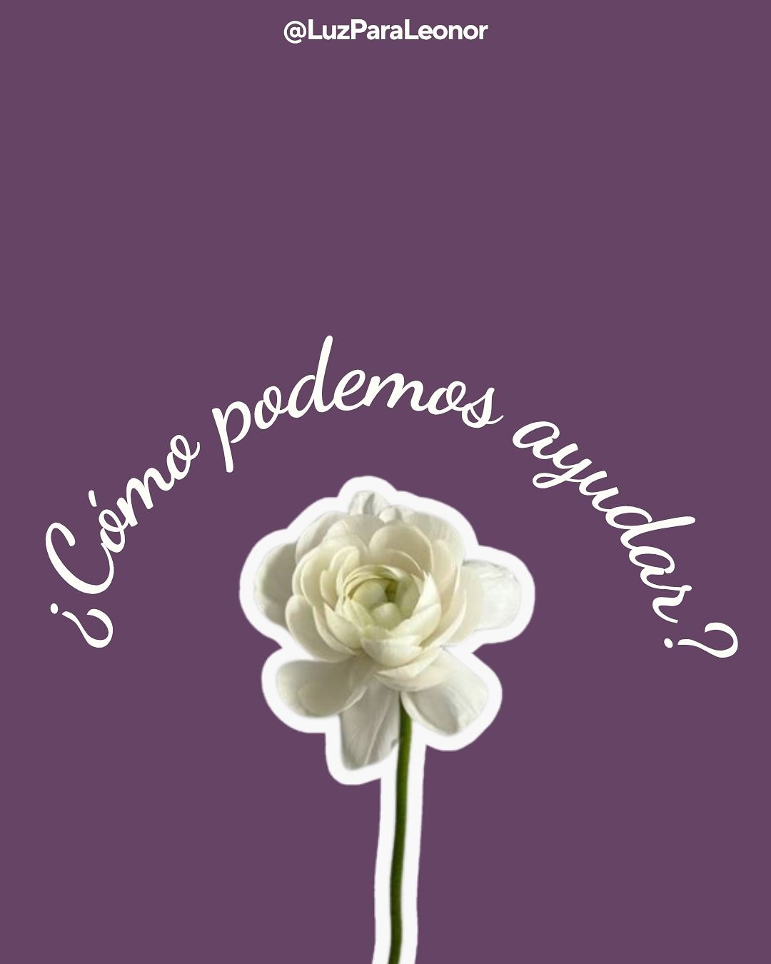 Tú puedes cambiar el destino de Leonor.
Cada aporte nos acerca a España, donde recibirá un tratamiento que puede darle una vida mejor.
Leonor es, hasta ahora, la única niña latinoamericana aceptada en el ensayo clínico EMPEROR de Stoke Therapeutics. Esta oportunidad única podría marcar un antes y un después en su vida.
💜 Dona y comparte: www.luzparaleonor.cl
🚨 primera Meta: $18.000.000 antes de septiembre. ¡Juntos podemos lograrlo!
#ChileXLeonor #Luzparaleonor