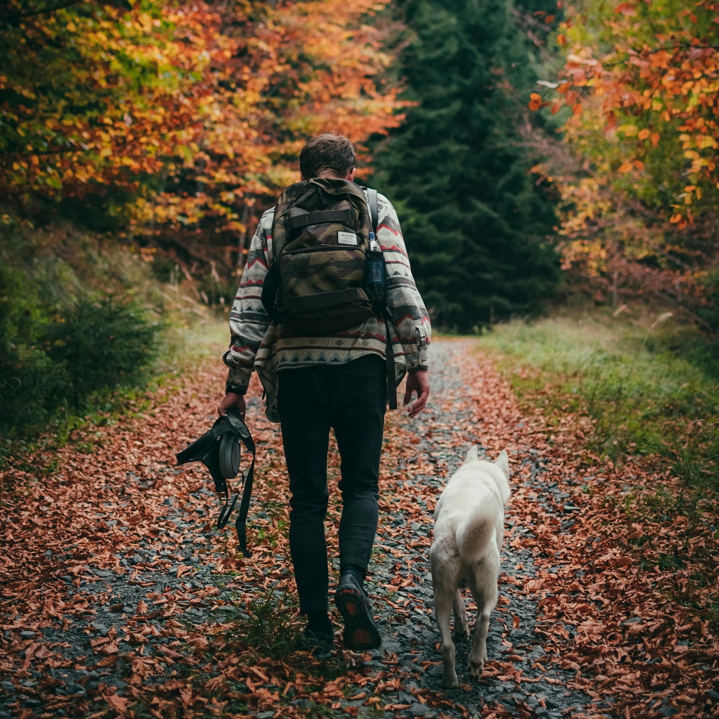 🐾 Gemeinsam stark - Wir laufen den Mammutmarsch! 🐾
Am 01.11.2025 ist es soweit!
Wir als Hundeschule nehmen gemeinsam mit euch und euren Hunden am Mammutmarsch in Berlin teil – 30 Kilometer voller Natur, Teamgeist und gemeinsamer Abenteuer! 😎
Ob als sportliche Herausforderung, persönliche Grenzerfahrung oder einfach als unvergesslicher Tag mit eurem Hund – diese Wanderung bietet die Gelegenheit, über euch hinauszuwachsen, eure Mensch-Hund-Bindung zu stärken und Teil einer starken Gemeinschaft zu sein. 💪🐶
Wir begleiten euch dabei mit guter Laune, motivierenden Worten, kleinen Überraschungen und natürlich der besten tierischen Gesellschaft!
👉 Jetzt anmelden & Platz sichern – die Teilnehmerzahl ist begrenzt!
Link: https://mammutmarsch.de/?raf=STEVEN.GRI
#justhelpberlin #hundeschule #dogschool #hundetraining #dogtraining #mammutmarsch2025berlin #bettertogether #nieohnemeinteam #hundeliebe #hundeglück #hundemachenglücklich