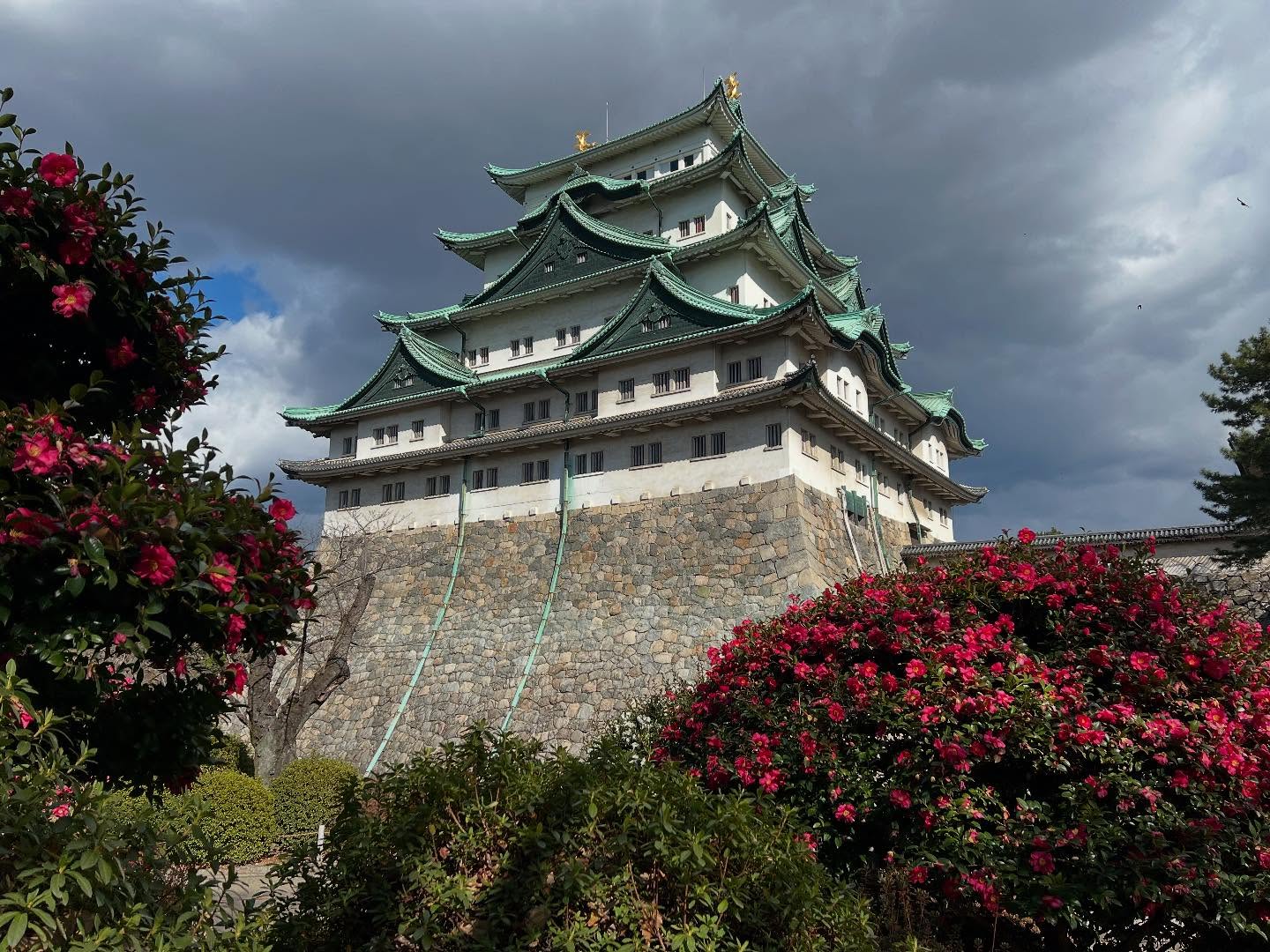 Nagoya Castle Hommaru Palace in Japan was first constructed in 1615 but badly damaged in 1945. The rich decorations and screen paintings have been painstakingly restored from photographs and written records.
#nagoyacastle #nagoyajapan #japan2025 #travelwriter #traveljournalist #japaneseart #japaneseinsta #japantoday #nagoya