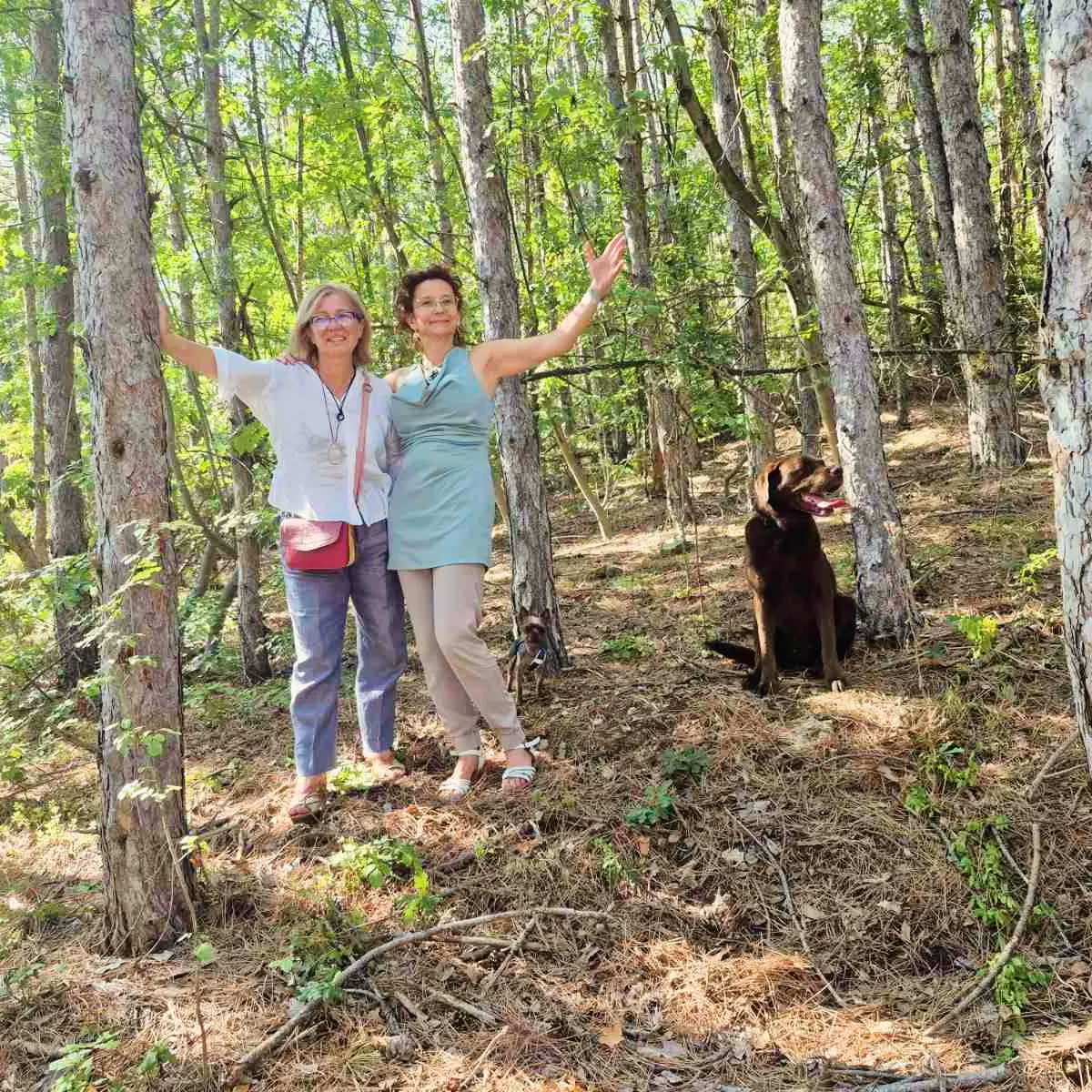 Имаме си вече парцел за училище
https://www.demokratichno.com/post/imame-si-veche-parcel-za-uchilishte
#НовоНачало #ДемократичноУчилище #МечтаСтаваРеалност #УчилищеВГората #СобственДом #СвободаВДействие