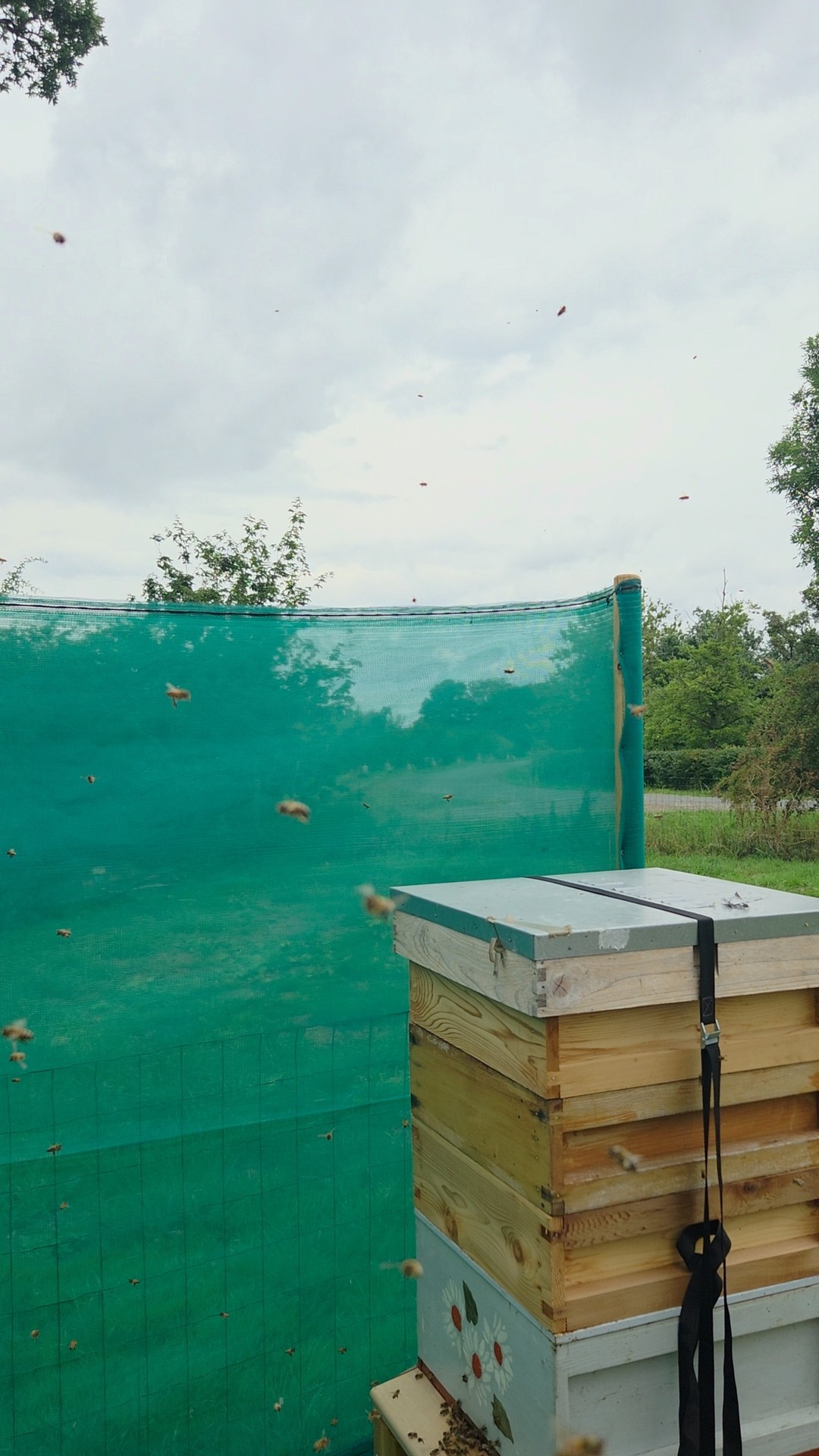 #BeekeeperLife #YorkshireApiaries #LocalHoney #BeekeepingJourney #UKBees #BeesOfYorkshire
Love this sound 🐝😁