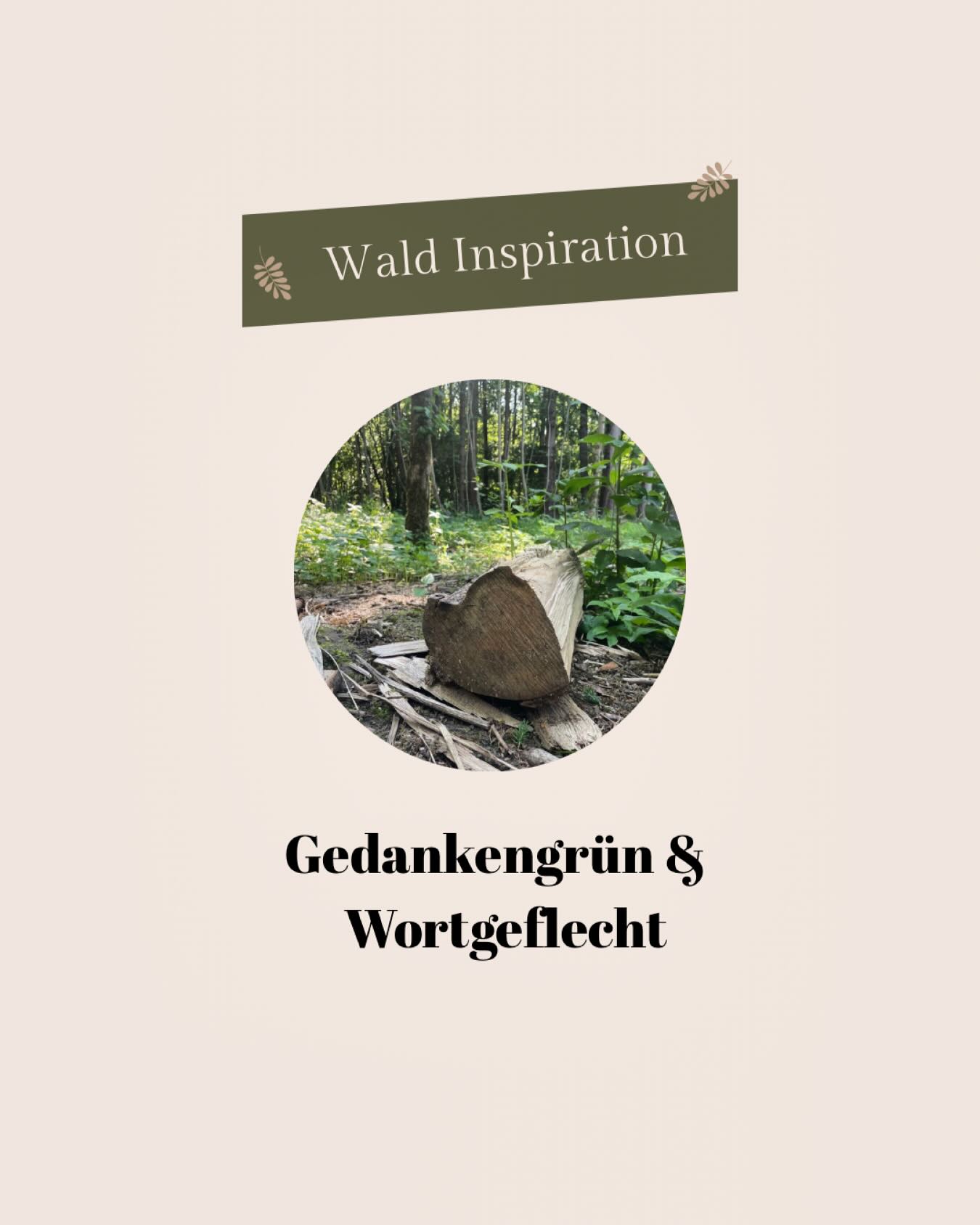 🌿 Schreibe die Natur auf
Wenn wir die schönen Momente der Natur festhalten, das Licht, den Wind, den Duft der Erde vertieft sich unsere Verbindung.
📖 Durch das Schreiben knüpfen wir Fäden zwischen Herz und Welt.
Wir begreifen: Wir sind nicht getrennt von der Natur.
Wir sind Teil von ihr. 🌍
Und manchmal genügt es, still zu sein und den Sonnenuntergang zu beobachten.
Dann spüren wir: Ich bin verbunden. 🌅
#naturverbindung #achtsamkeit #naturbewusstsein #schreibenalsweg #inspirationdernatur #achtsamleben #naturliebe #sonnenuntergang #innererfrieden #bewusstleben #naturmensch #tiefeverbindung #seelenruhe