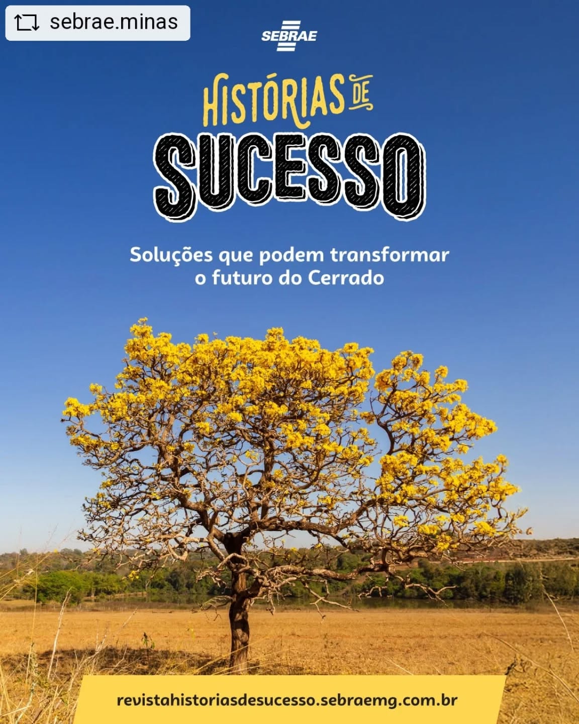 @sebrae.minas - Com o propósito de impulsionar soluções #empreendedoras para a #preservação do #Cerrado, o Sebrae lançou o Inova Cerrado, programa nacional que apoia ideias inovadoras voltadas ao uso sustentável desse #bioma tão importante.
Três iniciativas mineiras se destacaram na última edição:
✔️ Predativa, de Patos de Minas: desenvolveu equipamentos, software e automação industrial para a criação de insetos predadores usados no controle de pragas em plantações, reduzindo o uso de pesticidas químicos nas plantações.
✔️ Smart Timber, de Lavras: desenvolveu uma plataforma com IA para rastrear a origem da madeira usada na fabricação de móveis.
✔️ Chama Segura, de BH: aplicativo que conecta e organiza brigadas voluntárias de incêndio em todo o mundo, otimizando a resposta a emergências com dados em tempo real.
O Inova Cerrado é mais do que um programa: é um convite para transformar desafios ambientais em oportunidades de negócio sustentável, com #inovação, #tecnologia e impacto positivo.
Ficou interessado em saber mais? Essas histórias foram contadas na Revista “Histórias de Sucesso” e estão imperdíveis!
A matéria completa está no link da bio.
