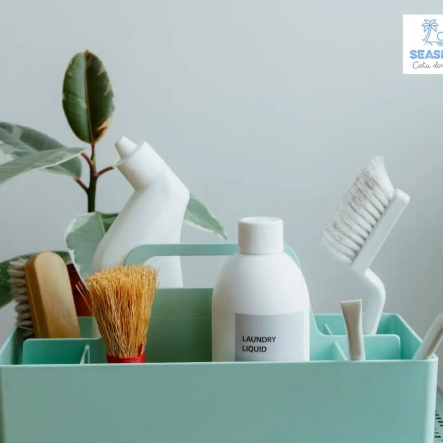 🧽 Ferienhaus an der Costa Dorada? Wir übernehmen die Reinigung! 🌴✨
Du hast keine Lust auf Stress mit der Endreinigung oder brauchst jemanden, der zwischendurch mal sauber macht?
Wir springen ein – schnell, zuverlässig und ordentlich.
Ob Cambrils, Miami Platja oder Hospitalet de l´Infant – wir kümmern uns drum, dass deine Gäste happy ankommen.
✔️ Gründlich & pünktlich
✔️ Auch kurzfristig buchbar
✔️ Faire Preise – keine versteckten Kosten
✔️ Auf Wunsch auch mit Check-in & Check-out Service
👉 Mehr Infos findest du hier:
www.seasidecostadorada.com/reinigungsservice-costa-dorada
Einfach schreiben – wir freuen uns!
#cambrils #ferienhaus #spanien #costadorada