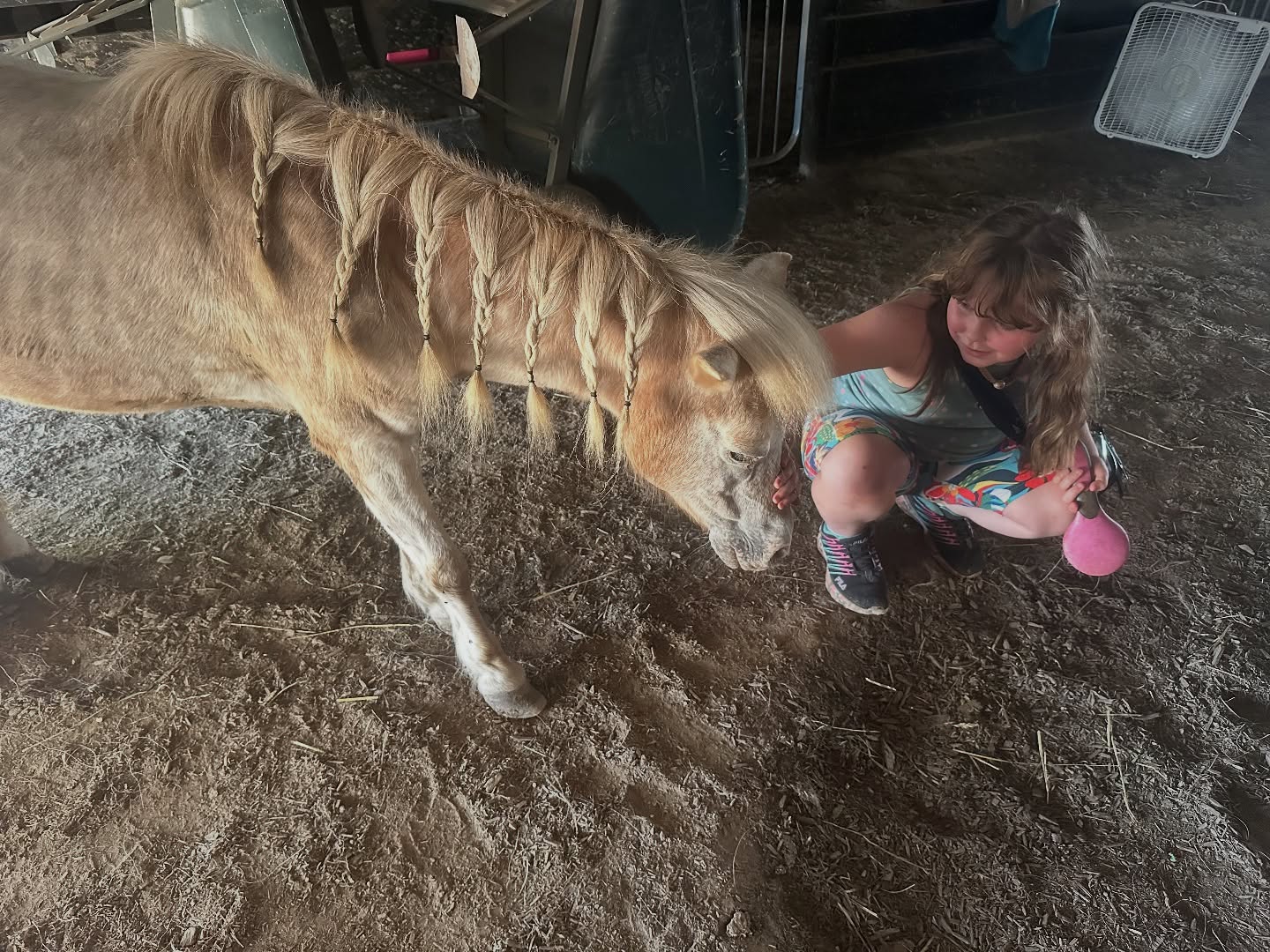 Not all “healing” with horses is created equal.
At H3, we don’t give horses jobs—they choose their role. We don’t force connection. We honor it.
Many riding horses are expected to perform all day, shut down their emotions, and stay quiet—just so humans feel better. That’s not healing. That’s survival.
Here, our horses have a voice. They’re allowed to say no. They’re never labeled “naughty” for expressing discomfort. And because of that, the connection we build is real, not required.
Healing flows both ways. That’s what makes H3 different. 💛
#HosannaHorseHaven #HorsesHealingHumans #ConnectionOverControl