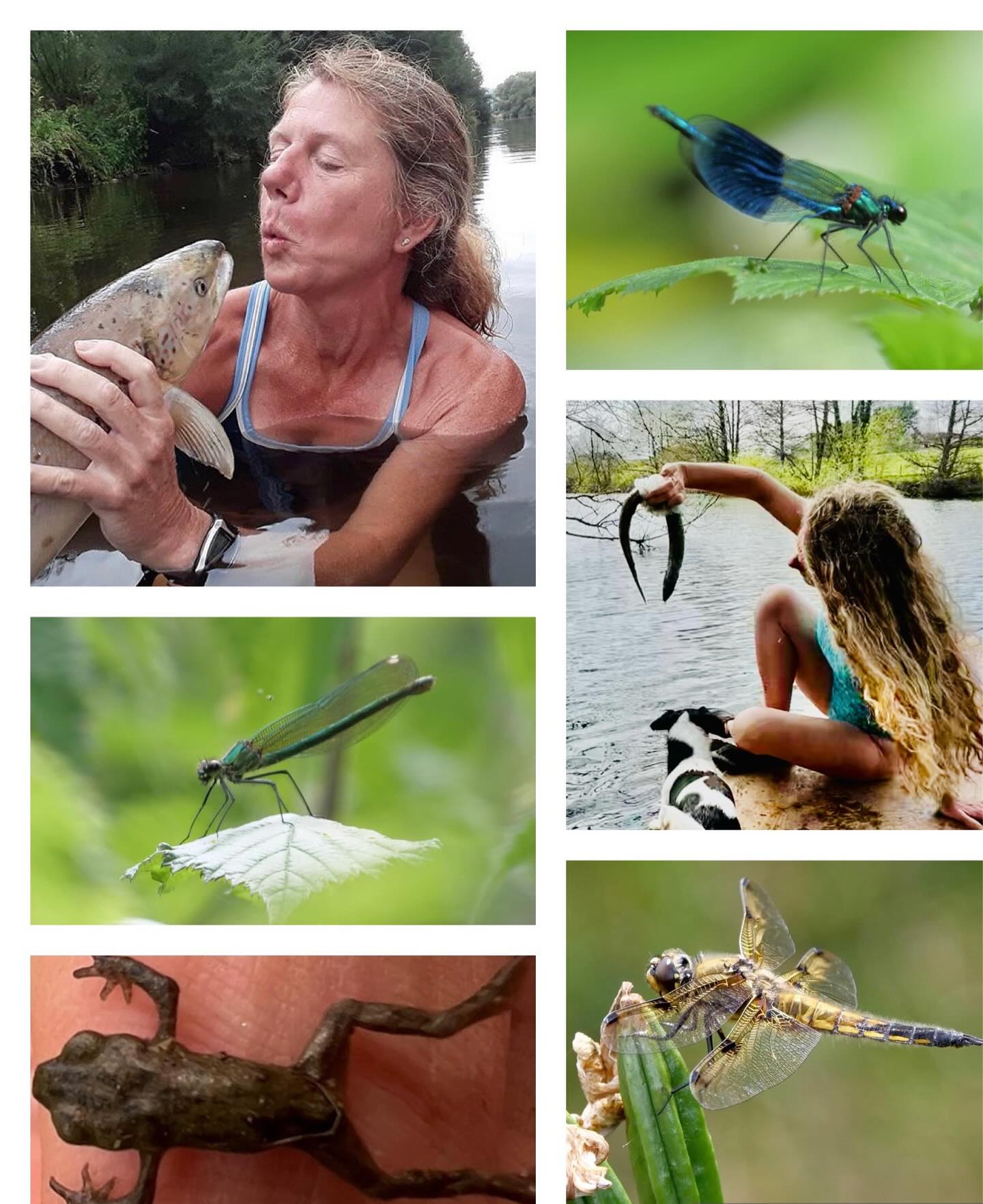 💦Swim Chemical-Free💦
When wild swimming, please avoid wearing sunscreen, lotions, or other skin products. Rivers ,lakes and Coastel waters are part of a delicate ecosystem, home to fish, birds, and aquatic life that are easily harmed by chemicals.
Even small amounts can disrupt water quality and wildlife health.
Avoid products containing:
• Oxybenzone
• Octinoxate
• Avobenzone
• Parabens
• Synthetic fragrances
• Silicones
Thank you for helping protect our precious wild spaces! 💦🌿• #WildSwim
• #SwimFree
• #ProtectOurWaters
• #LoveYourLake
• #KeepItWild
• #LeaveNoTrace
• #EcoSwimmer
• #CleanWaters
• #ProtectWildlife
• #SunscreenFreeSwim
• #SayNoToChemicals
• #NatureNeedsYou #wildswimming #natureswim #love #care #respect #water #wildwomanswimming #fish #eels #protect