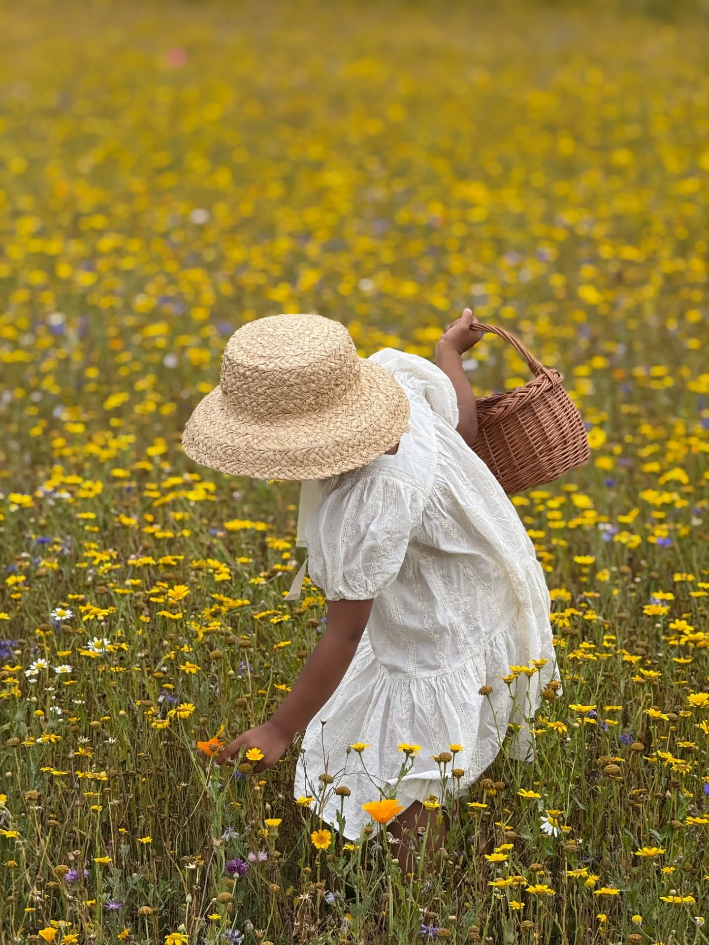 On dirait le Sud
Le temps dure longtemps
Et la vie sûrement
Plus d'un million d'années
Et toujours en été