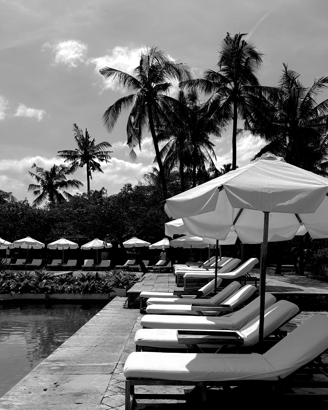 There’s comfort in repetition.
Umbrellas, trees, loungers and a rhythm that never rushes you.