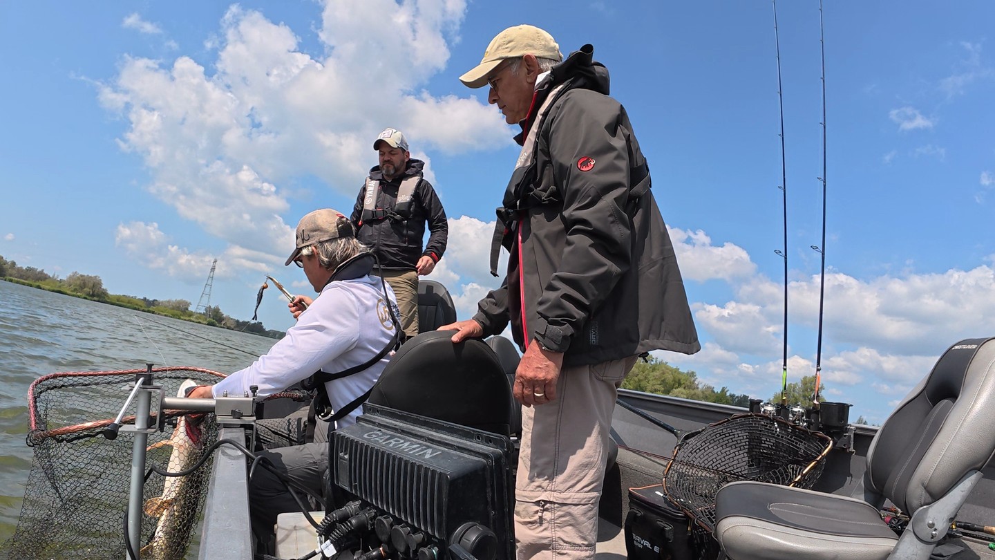 Holiday Update: Tours Resume in August!
I'm currently on vacation, but guided tours will resume in August. However, availability is already very limited, so be quick if you'd like to join! The following dates are still open: August 10, 13, and 19.