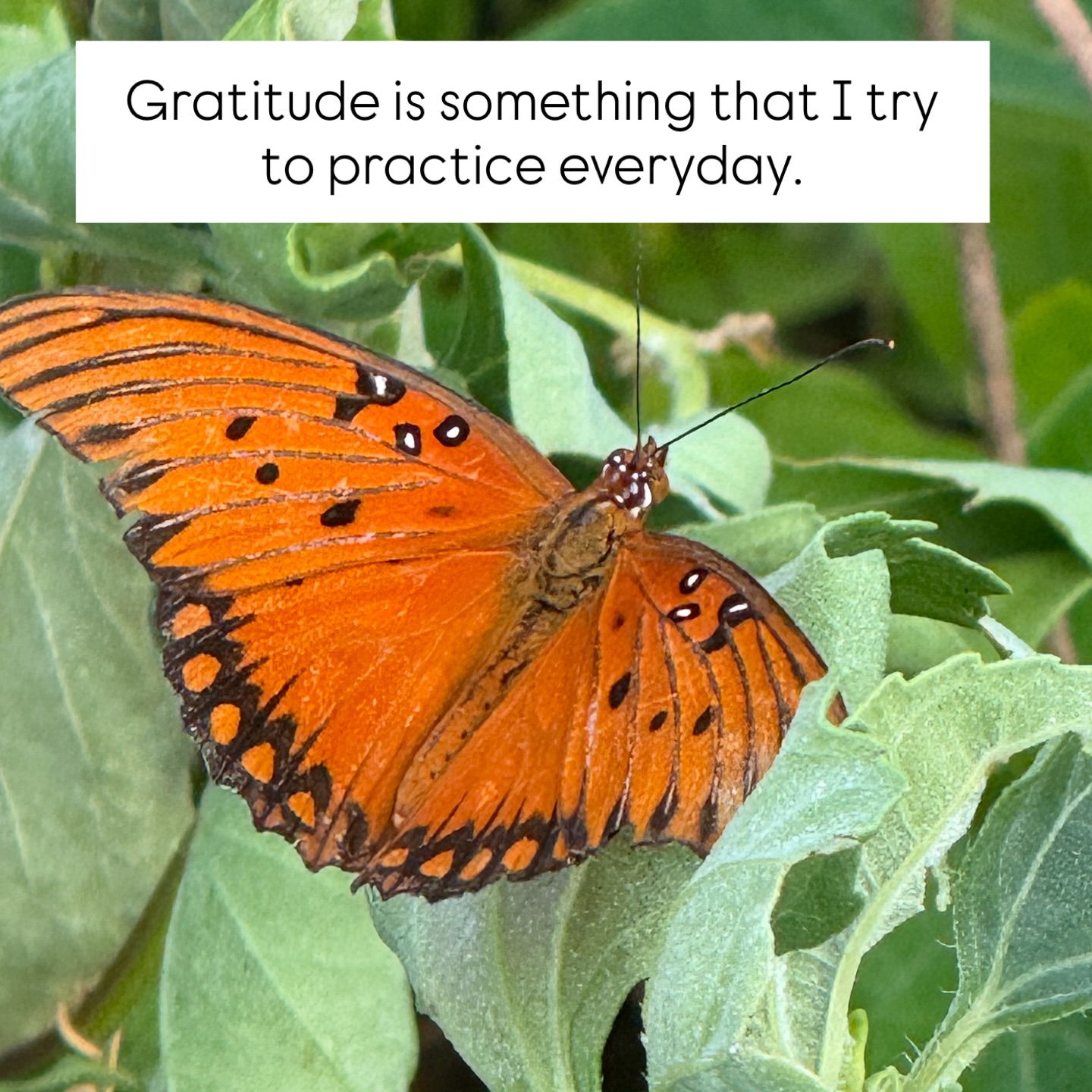 Practicing gratitude is something that I do every day. But it’s in the harder times when that practice really helps out. The times when it’s harder to see the light, but the times when we need it a bit more. Today was one of those days.
A huge amount of gratitude for my friends who have reached out today to check on McKenna and myself. I am a lucky girl to have such thoughtful and supportive friendships in my life. And extra gratitude for the medical staff at Texas Children’s Hospital. McKenna’s pectus surgery went amazingly well. My heart is so full of appreciation… but not as full as Macs! 😜