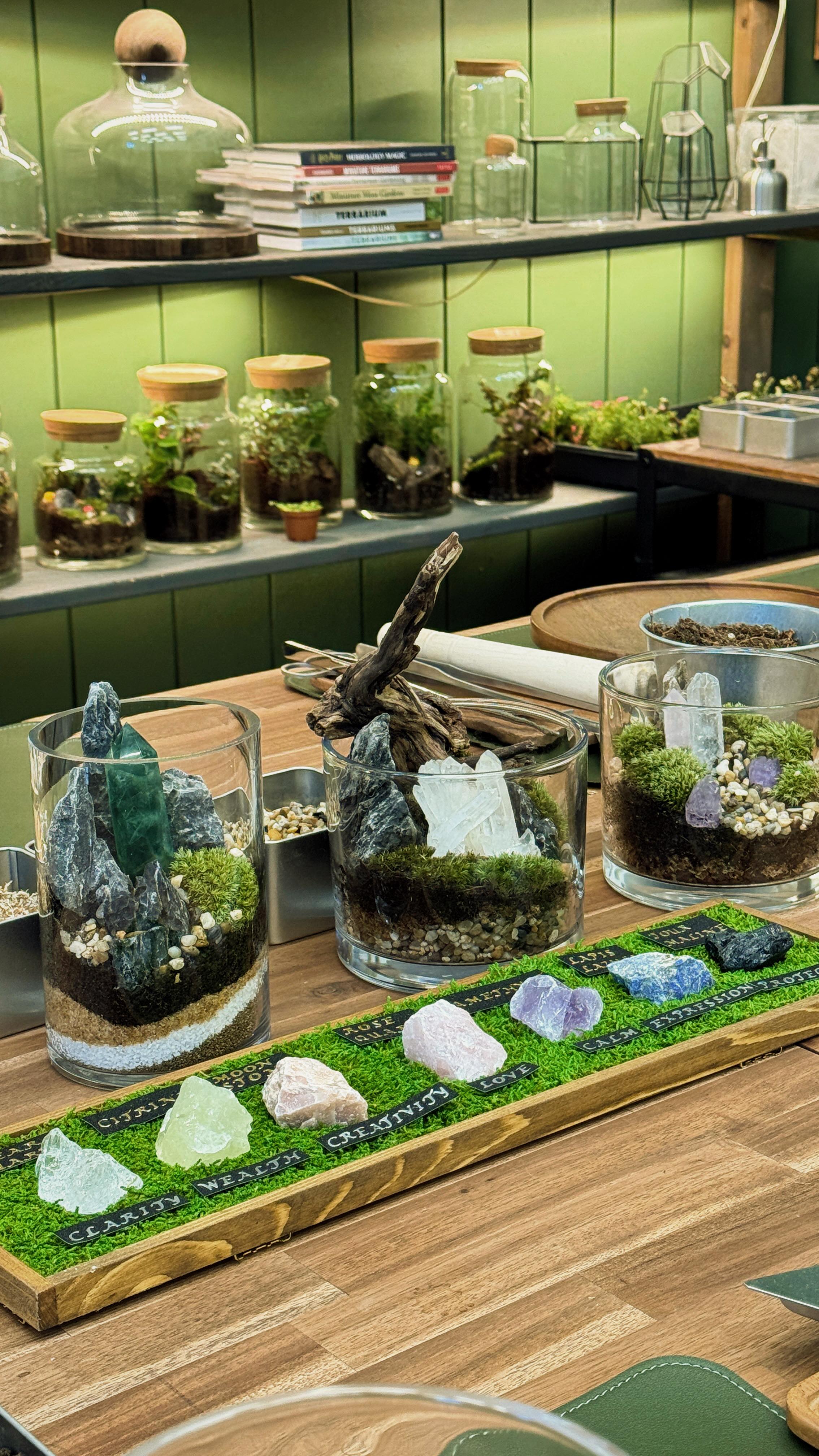 A peaceful escape in the middle of Vancouver city. Build your own moss + crystal garden — energy included 🌿
#planttherapy #vancouveractivities #thingstodoinvancouver #vancouverdateideas #crystalhealing #crystallover