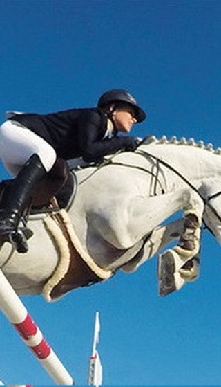 LAMOTTE 2025 c’est fini 🥹
Merci à tous pour cette superbe édition des Championnats de France d’équitation 🇫🇷
Des résultats ne reflétant pas pour tous votre année de compétition mais toujours dans la sportivité et la résilience 🫶
Merci à nos très fidèles clients qui,depuis 1993, nous remercient de les accompagner partout en France, au plus proche d’eux dans la sincérité et le professionnalisme ☺️
C’est grâce à vous que Art Équestre existe et persiste dans ce monde digital où il est plus simple de cliquer pour commander
Mais vous qui connaissez notre Savoir Faire et nos compétences, savez reconnaître nos vraies valeurs.
Merci à notre équipe qui reste la meilleure, volontaire, motivée et toujours de bonne humeur !
Et merci à l’organisation qui nous a promis des épreuves aquaponey l’an prochain 😂
#soyezvousmeme #onvousaime #gof #gof2025 #lamotte