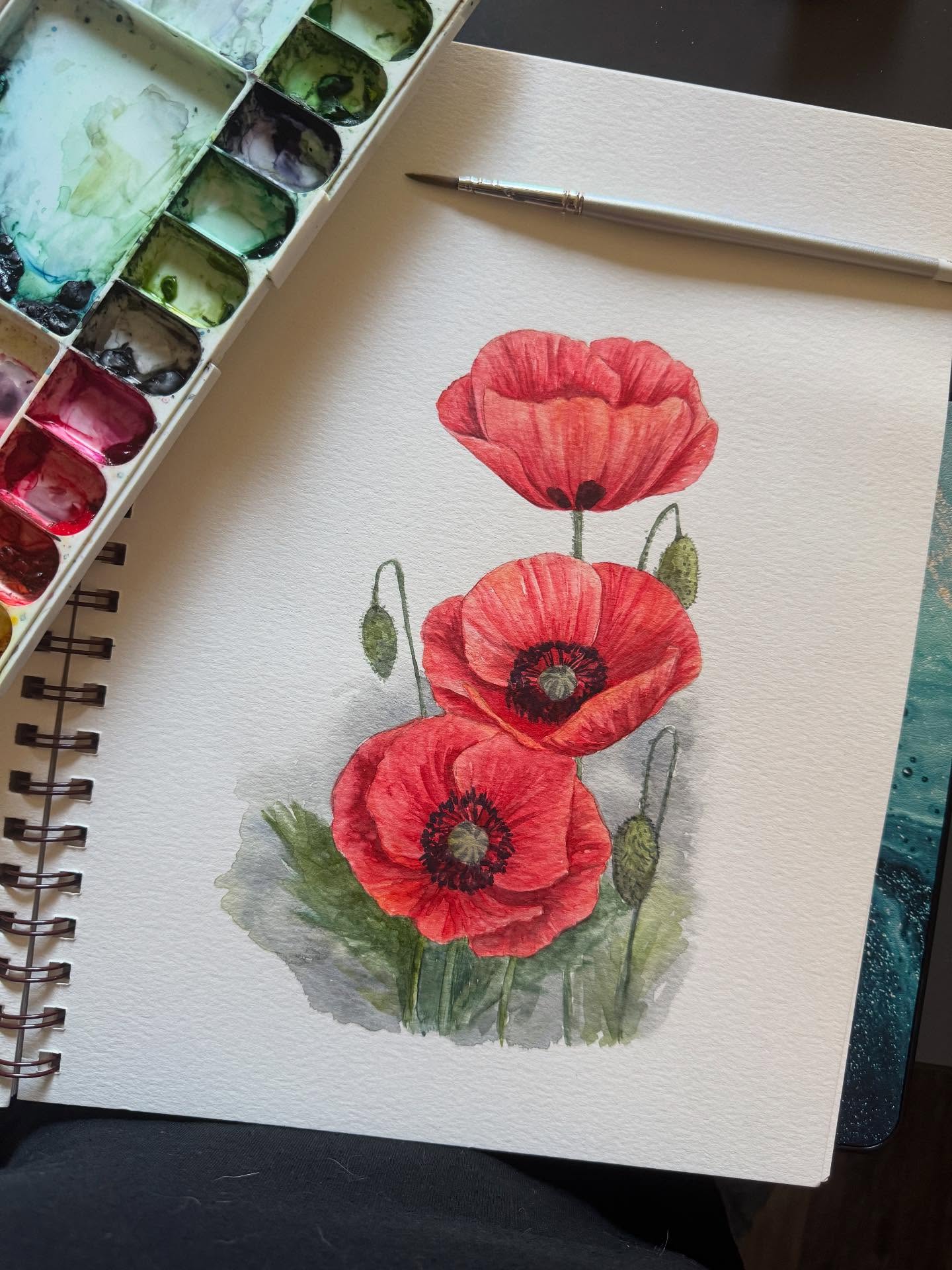 Poppies! They are such friendly flowers! So let’s paint them!
Sign up on website under ‘zoomclasses’
#redpoppies #artclasses #watercolorart #watercolorpaintings