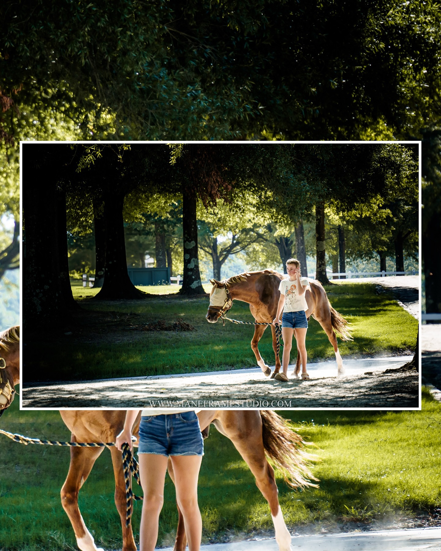 Hot weekend at @horseshowventures! All proofs from Horse Show Ventures 2025 GIHP JULY SHOW have been uploaded for purchase! ⭐️
— You can view photo proofs (pony ring, beginner ring, jumper ring, main hunter ring) under the photo proofs tab on my website. Thank you for a great weekend! Please contact me if you have any questions. ☺️ https://www.maneframestudio.com/photo-proofs
© Mane Frame Studio || Rhiannon Williams
Please do not screenshot. Thank you!
— at Georgia International Horse Park