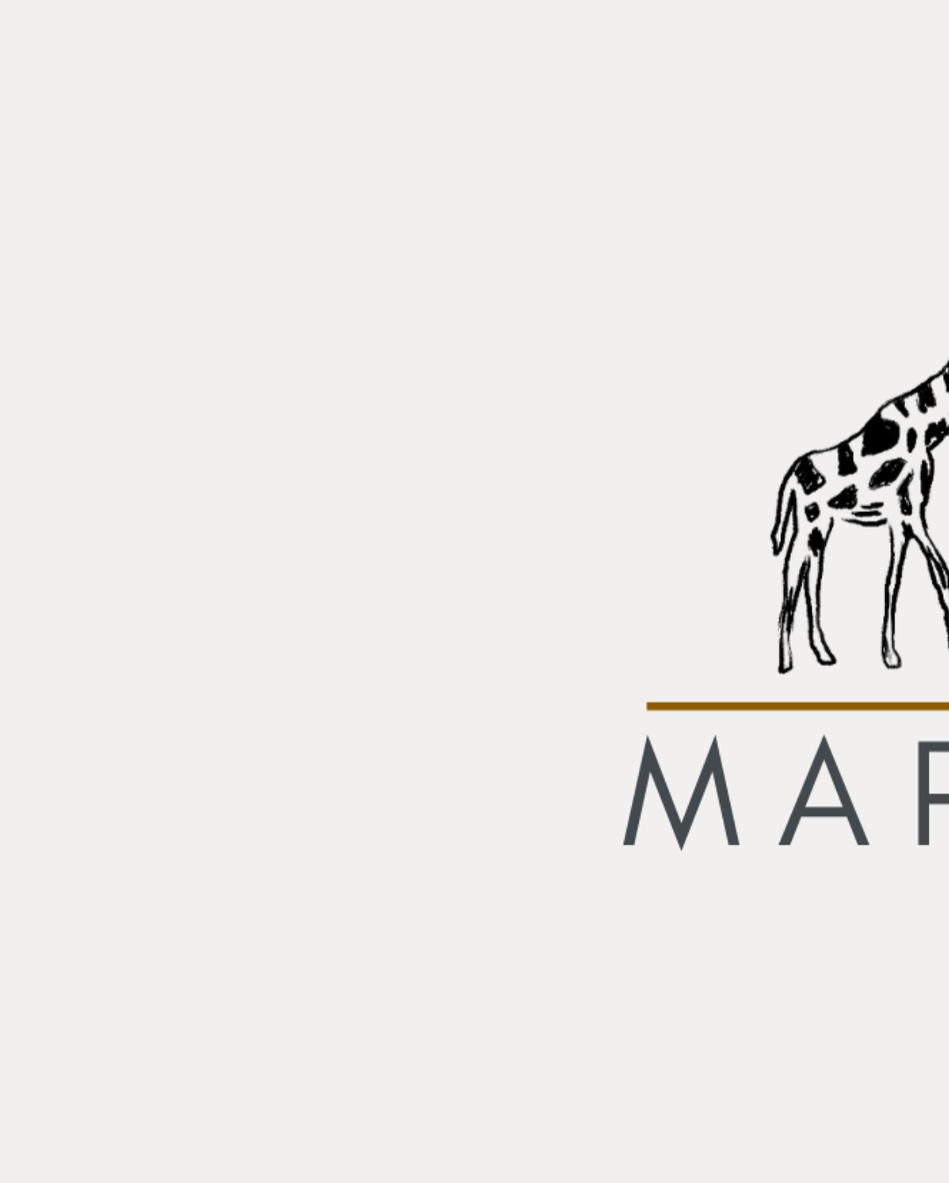 Our new website is live! Go check it out and start dreaming — or planning 😉 — the trip of a lifetime.
#MaporiSafaris #Safaris #EastAfrica #Africa