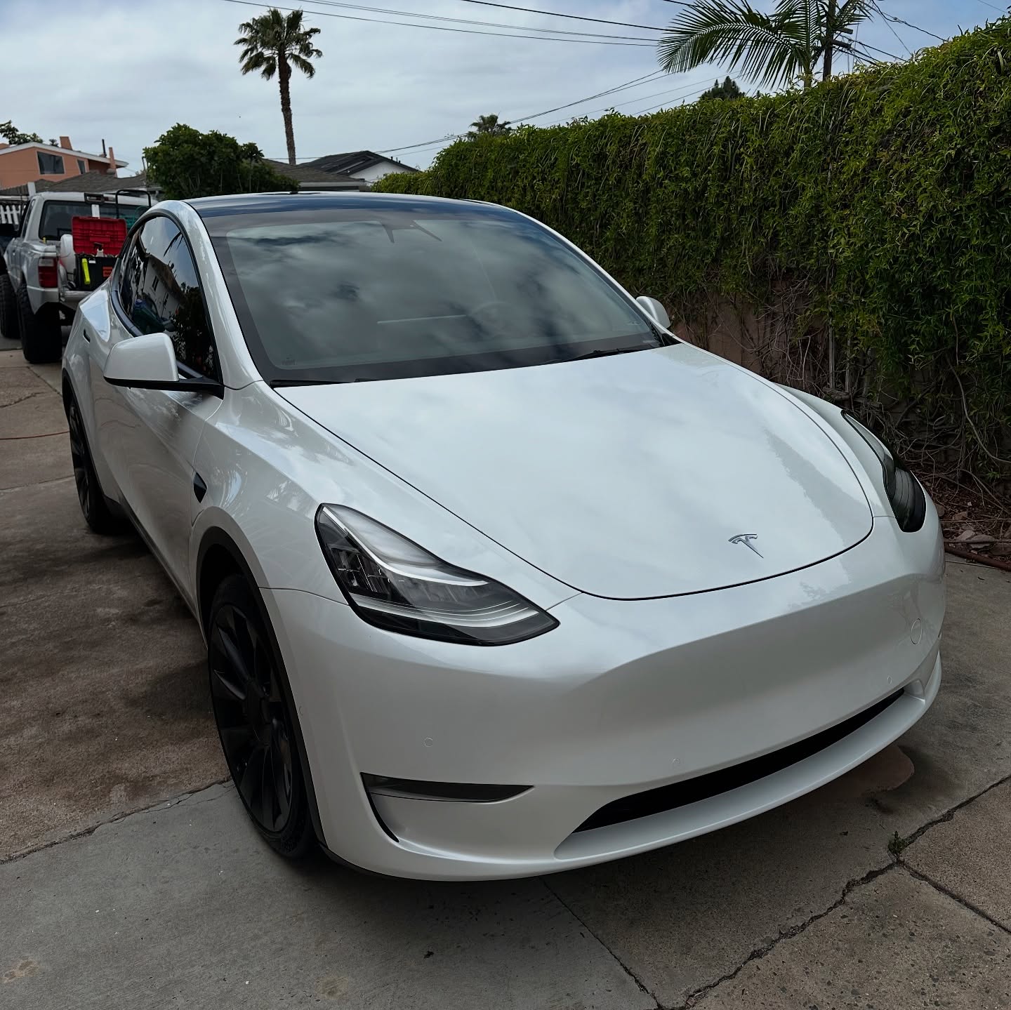 One step polish/ paint sealant