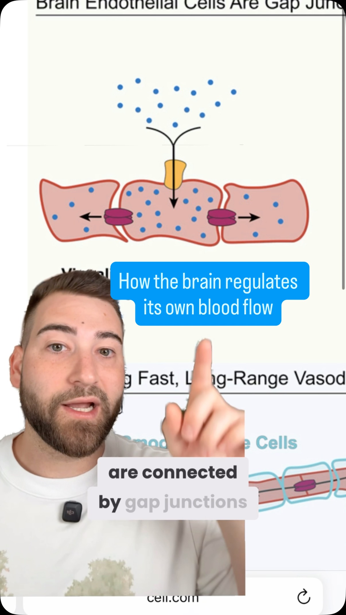 How does the brain control its own blood flow? 🤔
This new study (Krolak et al., Cell, 2025) offers a clue.
#neuroscience #news #science #research #brain #learnoninstagram
