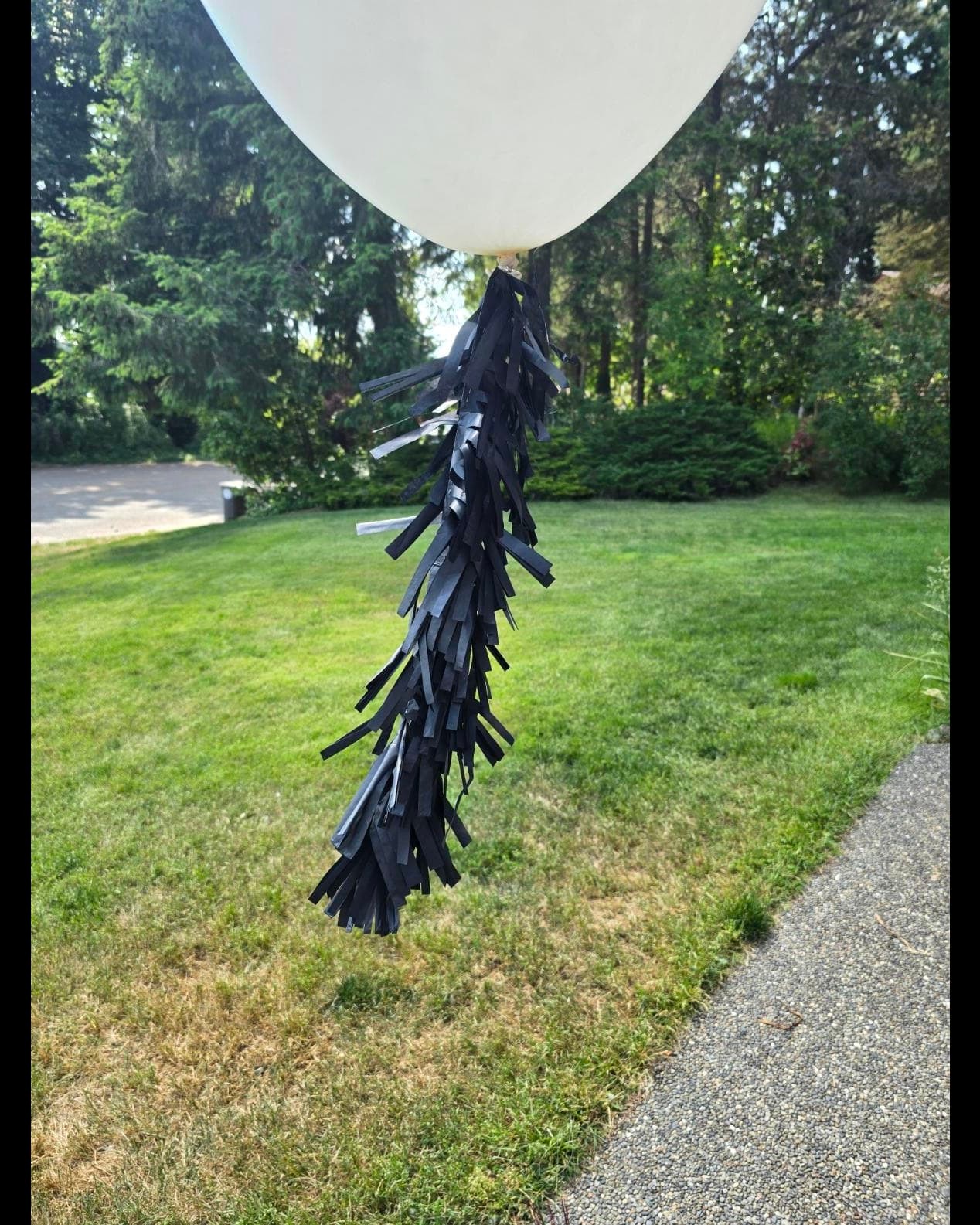 Make your event unforgettable with balloon tail decor that tells a creative story! Your party, your style. 🎈✨
#PersonalizedParty #EventDecorIdeas #MemorableMagic #CreativeCelebrations #UniqueEventDesign #Decor #SpecialOccasions