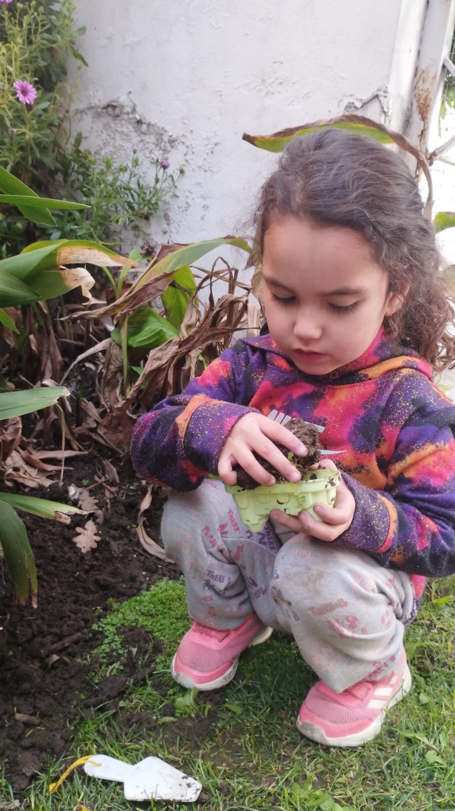 Hace unas semanas fui entrevista por @doctorencasa ♥️ hable sobre nuestra fundación @redepilepsiarefractariachile y la campaña que tenemos para Baby Leo
Muchas gracias por el espacio para reflexionar sobre temas tan importantes como lo es la epilepsia y el ser cuidadora.
Sigo trabajando a full para conseguir el viaje de Leonel ♥️
Gracias infinitas por tanto apoyo
#chilexleonor #luzparaleonor