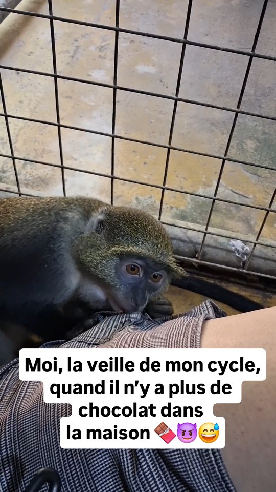 🌀 Tu connais cette sensation ? Quand ton corps crie “pause”, mais que tu continues à carburer…
Et que tu te retrouves à chercher frénétiquement un carré de chocolat…
Pas pour le plaisir, mais pour tenir.
💡 Derrière ce besoin : de la fatigue, un déséquilibre hormonal, une surcharge mentale.
🎯 C’est exactement ce que j’aide les femmes cadres à déconstruire avec Fit Leader Pro.
👉 Reprendre le lead sur son énergie
👉 Identifier ce qui vide vraiment le réservoir
👉 Et construire un équilibre durable, sans pression ni culpabilité
🎥 Tu veux que je t’en parle ? Écris-moi “chocolat” en DM.
#LeadershipFéminin #SantéDesFemmes #SurchargeMentale #PréventionBurnout #IsabelleCurratCoaching
#FitLeaderPro #ÉnergieMentale #HormonesEtLeadership #CadresDirigeantes #CoachSanté