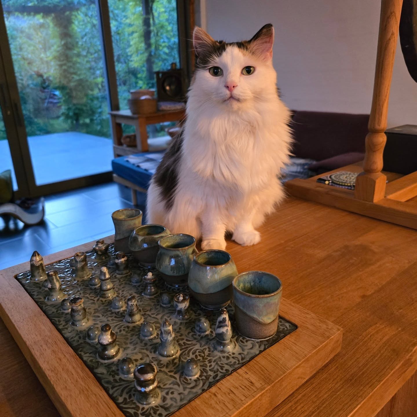 Treat puzzle I made for my cats. It is Jitterbug approved and one of her favourite ways to eat. I rarely use this for treats, I typically will take a portion of her normal food and put it here for her to play with. This is usually her late night snack bar. Before bed, anything she didn't eat during the day goes in her puzzle and at about 2 or 3 in the morning you hear her playing with it. She has gotten to the point where she will remind me to put her leftover food in before bed, she checks that it is there, comes to bed and then sneaks off in the night when she gets the munchies.
