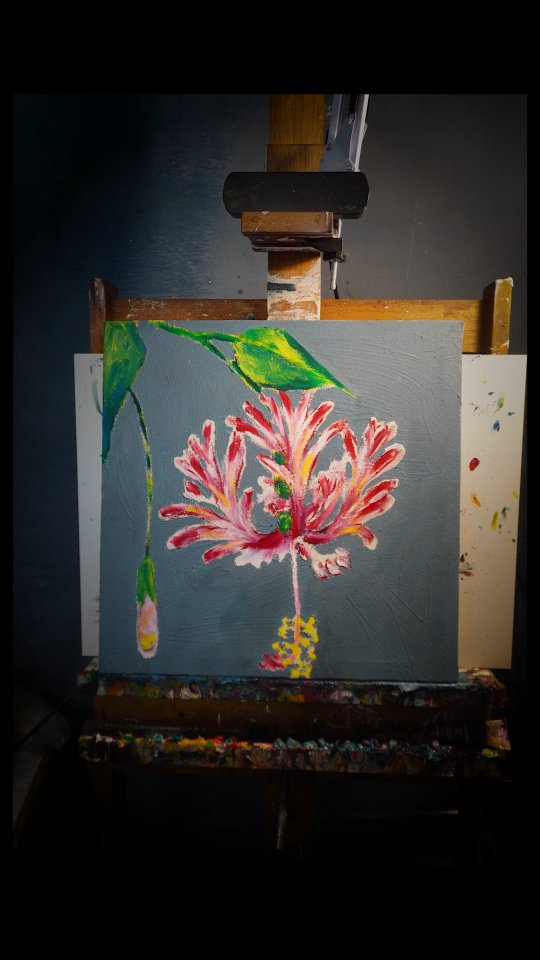 Episode 227 #dailyvlog