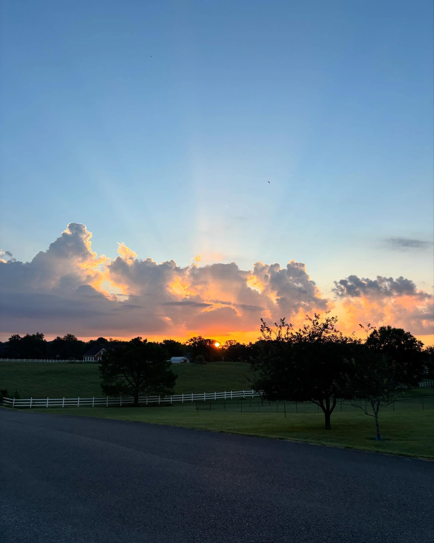 Trust in the Lord with all your heart and lean not on your own understanding. In all your ways acknowledge Him and He will make your paths straight. Prov 3:5