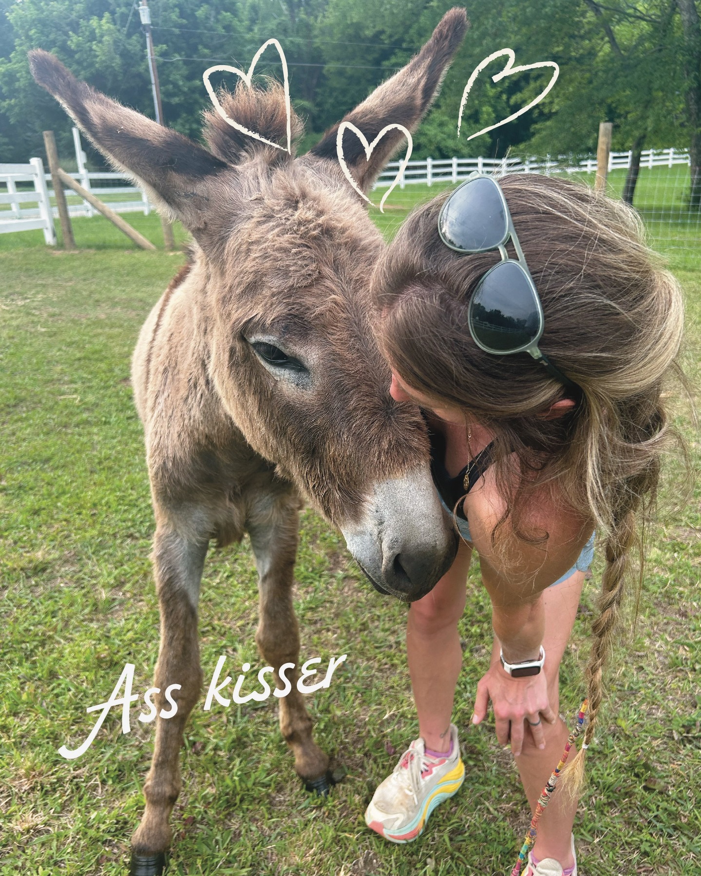 From donkeys and dogs to cats and goats, every creature we take in is a reminder that second chances are worth the work. #WSNC #dontshopadopt #StellasRescue #NC #farmlife #supportlocal #donkey #donkeyrescue