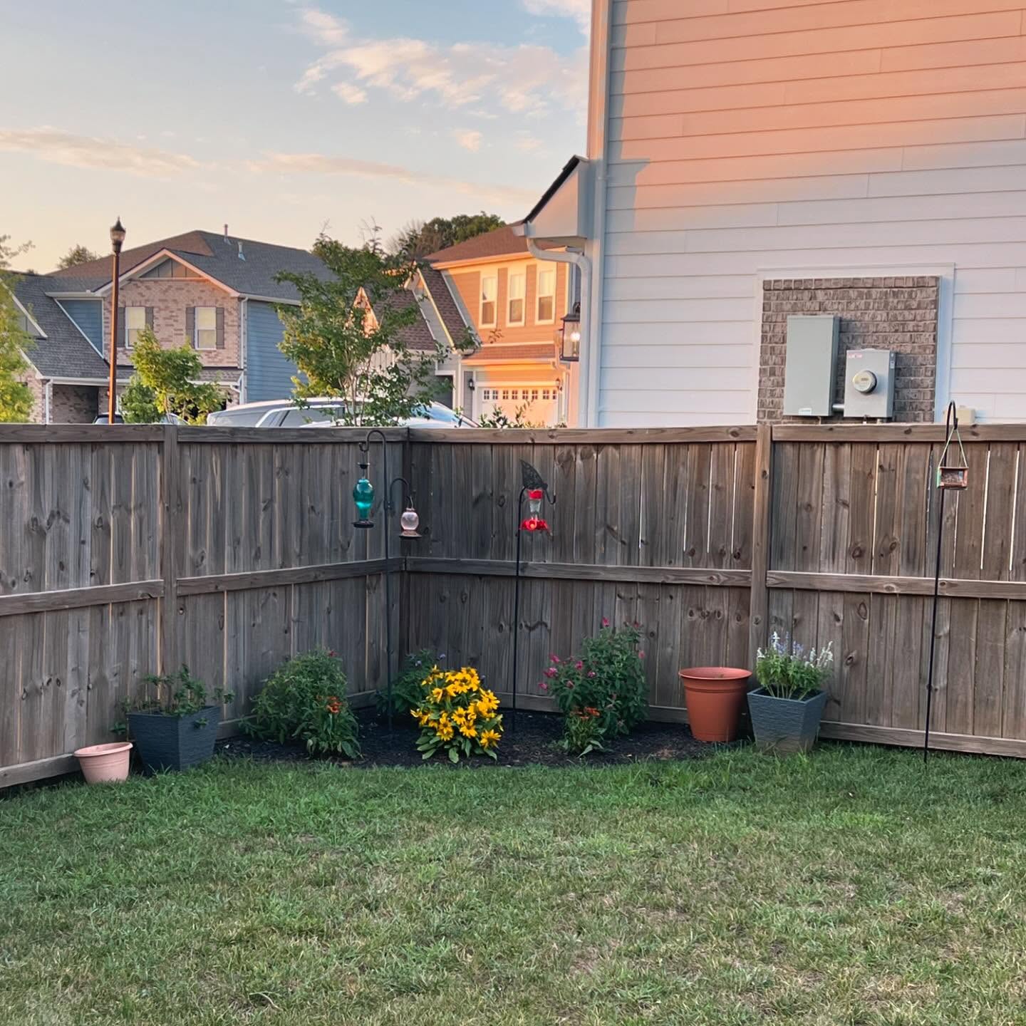 The garden is growing 🪴🐦⬛🌼
🦋 Butterfly bushes
💛 Rudbeckia
🧡 Coneflowers
💜 Salvia
🩷 Bee balm