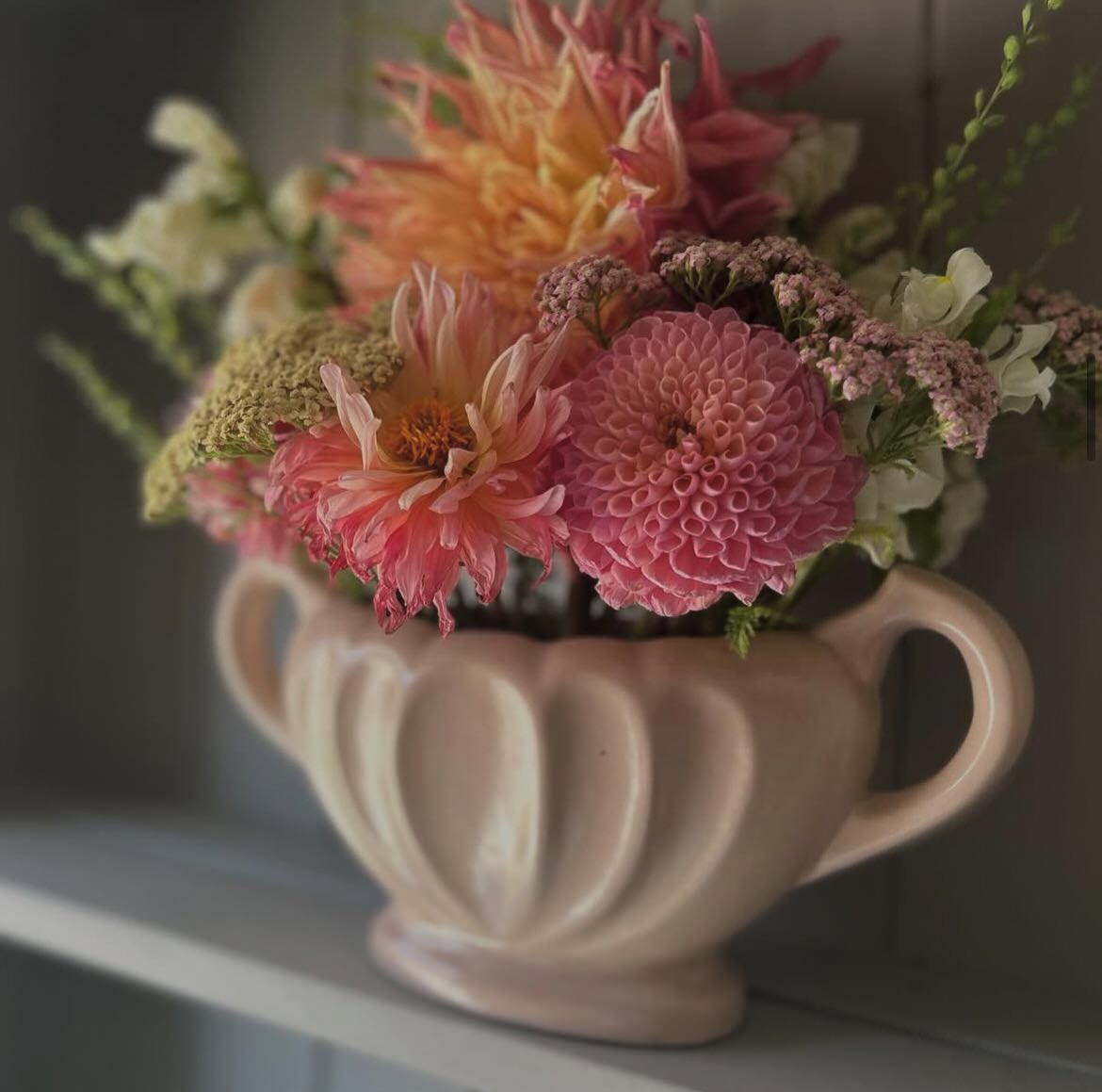 Introducing our Exhibitors 🤍
@kitty_robinson99
A stall brimming with freshly cut allotment flowers and little planted vintage vases and pots, this will certainly be one of our prettiest stands at the Summer Brocante! 🌸
We are delighted that Kitty @kitty_robinson99 will be joining us again with her nostalgic kitchenalia & vintage treasures, alongside her pretty fresh flowers when we return to @moylescourt on 25th August 🌸
Come and shop with our fabulous small independent businesses, follow their accounts and meet them in person at the Brocante 🤍
Monday 25th August 🎪
10 - 4pm
Moyles Court School
Nr Ringwood
New Forest
Tickets are now on sale through our website - see link in bio above 🎟️ or buy them on the gate when you arrive
All tickets £7:50 | U14 free 🎟️