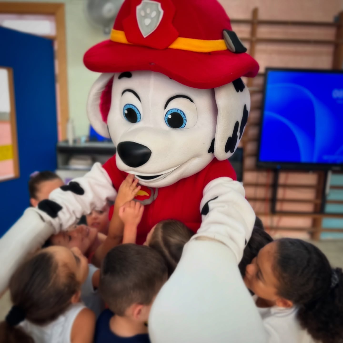๐ Week 3 at Wally Jolly Kids Summer Camp has come to an endโฆ and what an AMAZING week it has been! ๐
๐ Our little ones had a blast diving into this weekโs exciting themes โ from Paw Patrol Pals ๐๐พ to Pirate Treasure Hunt ๐ดโโ ๏ธ๐ and our older group becoming curious minds in the Mad Science Lab ๐งชโจ.
๐ฆ And of course, the highlight of the week was our Mega Monday Foam Party โ a bubbly explosion of fun where laughter filled the air and the kids made unforgettable summer memories! ๐ซง๐
Weโre so proud of all our Wally Jolly kids for their energy, creativity, and smiles throughout the week. ๐
Next week brings more adventures, new themes, and even more surprisesโฆ stay tuned! ๐
#WallyJolly #SummerCampMalta #MegaMonday #FoamPartyFun #KidsSummerCamp