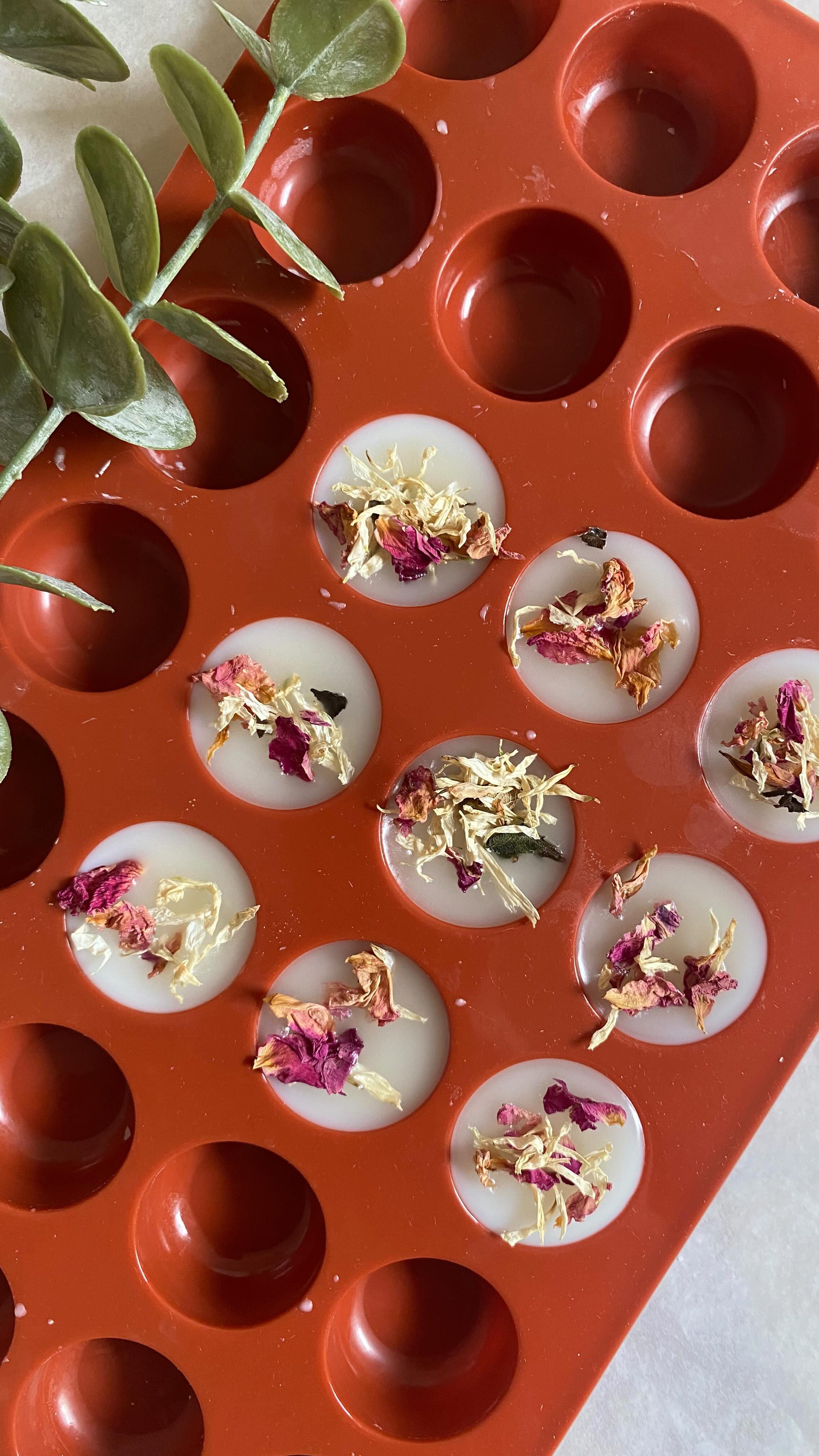 — H A R M O N I S A B L E S ✨
Une petite douceur à s’offrir, si vous souhaitez tenter la technique des fondants parfumés ; ces petits galets de cire sont parfaits pour vous.
10g de cire de soja parfumée avec des parfums de haute qualité, français et eco responsable. 🌿
Leur petit format vous permet d’en acheter plusieurs et de les tester avant de passer sur le format tablette de 70g. ✨
Bon à savoir : les fondants parfumés embaument encore plus que les bougies, et sont parfaits si vous disposez de grandes pièces. 🏠
#fondants #fondantsparfumés #ciredesoja #parfums #parfumsdegrasse #artisanatfrancais #artısanat #artisane #bougies #bougie #slowvibes #douceur #douceurdevivre #atelier #melted #home #homeswethome #deco #fleurssechees #metz #amneville #talange #moselle