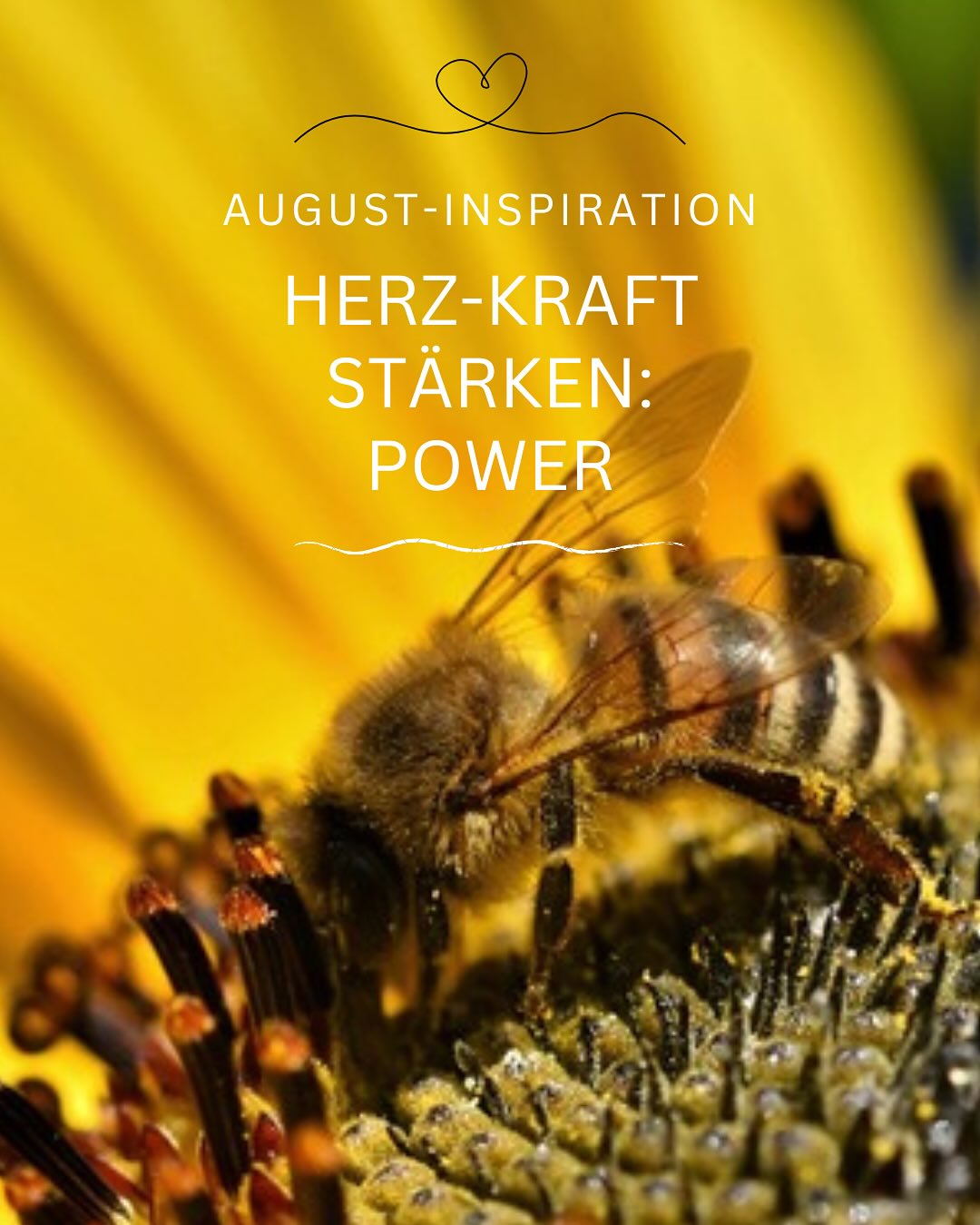 ❤️MÖCHTEST DU MIT VOLLER KRAFT DEINEN HERZENSWEG GEHEN?
Im August kommt das Leben zur Reife und zur Vollendung.
Das gibt uns Flow fürs Neue, sodass sich die Dinge fügen.
💛AUCH DIE SONNENBLUMEN SIND IM FLOW.
In vollkommenem Frieden mit sich präsentieren sie ihre Schönheit der Welt.
Ihre innere Grösse tragen sie mit grosser Ruhe nach aussen.
💚FLOW SETZT INNEREN FRIEDEN VORAUS.
Frieden mit uns selber. Frieden mit dem Aussen.
Dann, wenn wir inneren Blockaden und äusseren Widerständen nicht mit Kampf begegnen. Sondern sie annehmen.
💙ANNAHME ERMÖGLICHT BEWEGUNG.
Denn wenn es nicht mehr um Widerstand gegen etwas geht,
kann sich die Energie aufs Neues ausrichten.
So können wir der Welt mit Klarheit und Kraft begegnen.
🩵AUS HERZKRAFT...
Die diesjährige Tibet-Reise hat mich als Reiseleiterin im Kern meines Herzens gestärkt, aber auch gefordert: Noch auf der Anreise aus Europa erkrankten zwei Frauen aufgrund verdorbener Lebensmittel im Flug. Gefragt war also: Programm auf den Kopf stellen, Hotels neu buchen, Wanderungen umplanen.
Je mehr ich die Umstände annahm, in Frieden damit kam, desto mehr gewannen Herzkraft und Vertrauen die Oberhand.
💜... WIRD FLOW
So fügte sich unsere Gruppen-Reise im Aussen, und damit verbunden auch die Möglichkeit, das verpasste Anschluss-Trekking gemeinsam mit meinem Partner nachzuholen. Am 1. August geht’s los! Ich freue mich von Herzen auf viel gemeinsame Zeit und aufs Erkunden neuer Landstriche. Die Flow-Momente werden mich sicherlich für die Reise 2026 inspirieren.
🩷UND WÄHREND ICH SCHON BALD WIEDER IN TIBET WEILE,
wünsche ich auch dir einen inspirierenden August.
Möge sich deine Herzkraft stärken und dich dabei unterstützen, noch mehr in Flow mit dir selber und dem Leben zu sein.
💌WAS GIBT DIR POWER FÜR DEINEN HERZENSWEG?
Ich freue mich auf deinen Inspirationen dazu in den Kommentaren.
#herzkraft
#herzensweisheit
#intuitionstärken
#innererweg
#frauenpower❤️
#achtsamkeitindernatur
#naturverbunden
#sommerliebe
TIBETREISE
MEDITATION
LU JONG YOGA
HERZKRAFT
ACHTSAMKEIT