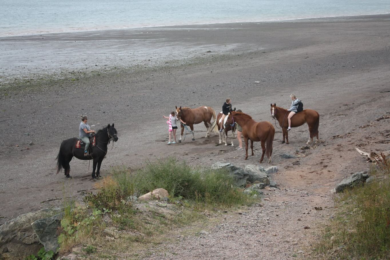 Beach days are always the barn familyโs favourite day of the summer! ๐ Although we cannot offer swimming with horses to the general public- our guides will never forget these days spent in our own Bay of Fundy! #tourismns #beach #parrsboro #bayoffundy