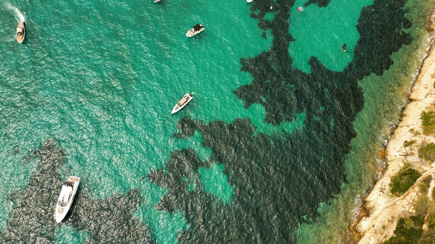 Flym t’emmène plus loin que cette vue ?
Va voir la bio ! ➡️
#mer #drone #photographie #droneshots