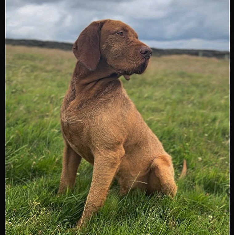 Literally couldn’t love him more if I tried 😩🥰