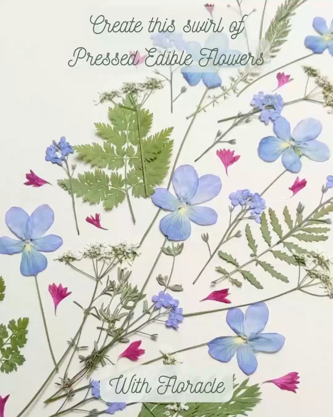 🌸Create a flower swirl for your cake...
Using just 5 packs from our pressed edible flower range!
Want a romantic, elegant swirl of blooms on your cake? It's so easy to design a stunning decoration....
Choose 5 packs including leaves, flowers and petals.
▪ Arrange starting with the leaves
▪ Then the largest flowers
▪ Followed by the smaller ones
▪ Finish with the petals
▪ Step back and admire
A swirl like this will easily decorate a 2 tier cake, perfect for weddings and stunning "How did you do that!?" home bakes.
Visit our website to shop for flowers in your favourite colours.
We offer a 10% discount for new customers who subscribe to our newsletter, so why wait? - use our flowers for your next creation.