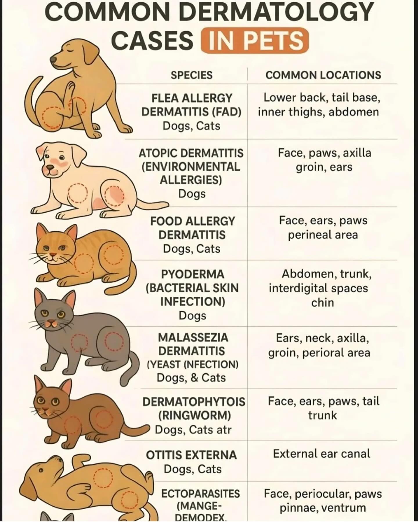 Skin infections can be frustrating for owners and pets. They are often difficult to manage and are a life long issue. Our vets perform cytology to determine the best treatment option to keep your pet comfortable and treat both the secondary infection and underlying cause, which is often allergies. Book online from our website hintvet.com.au
#allergies #skin #dermatology #dogs #cats #treatment #comfort