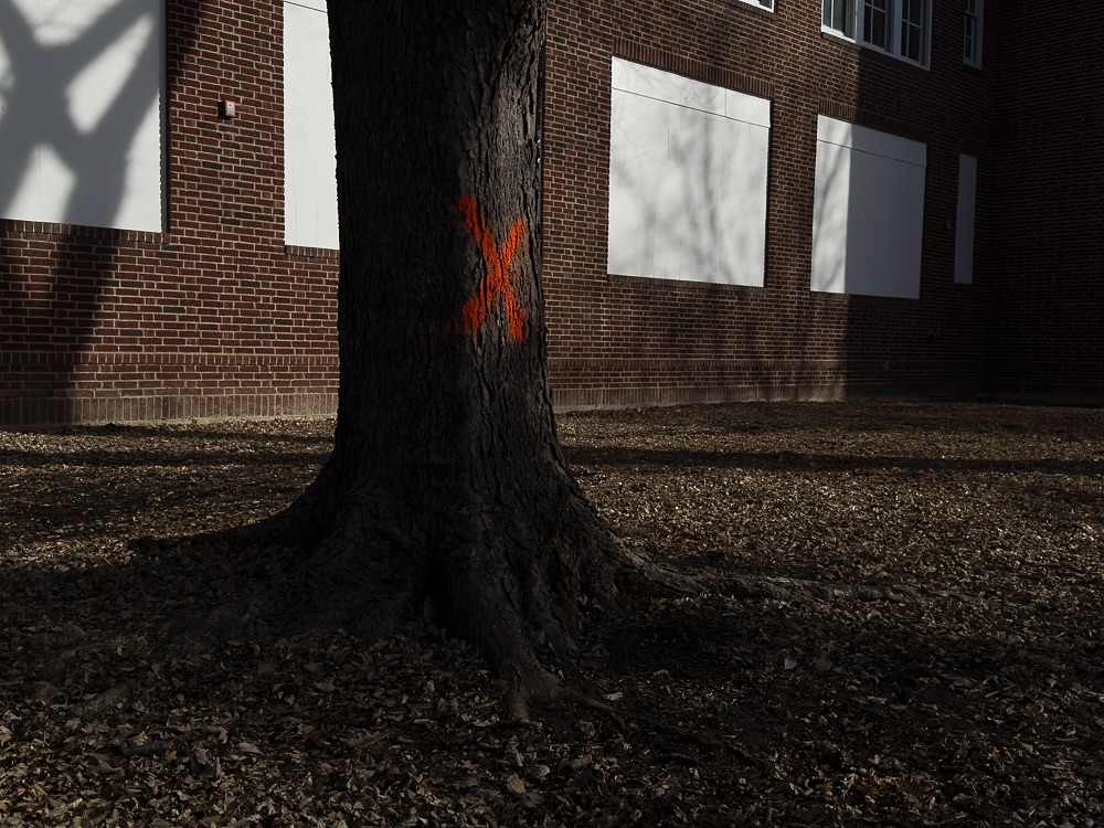 ONLY A FEW MORE DAYS TO SEE THE CURRENT SHOWS! Hayden Teachout is a visual artist that investigates collisions of meaning making memory creation economic + political systems and technology in the context of a changing sociopolitical landscape. Teachout focuses on the intersection of the current state of surveillance and our cultural impulse to publicly self-curate individual identities as well as specific moments in time. More recently they are struck by non-physical barriers as they are actualized in cultural production. They are curious about emotions and how the current zeitgeist shapes who is allowed to interpret and interact with them. They seek complex spaces that allow observation of sensation without disassociation. They explore feelings of isolation. They believe compassion is our last hope. Teachout graduated with an MFA from the University of Minnesota in 2022. Image: “untitled” Archival Inkjet print 01 - Printed on Matte Epson Coldpress Bright - 2025 @haydenteachout Gallery Hours: Thursday-Friday 10am-5pm and Saturday-Sunday 11am-5pm