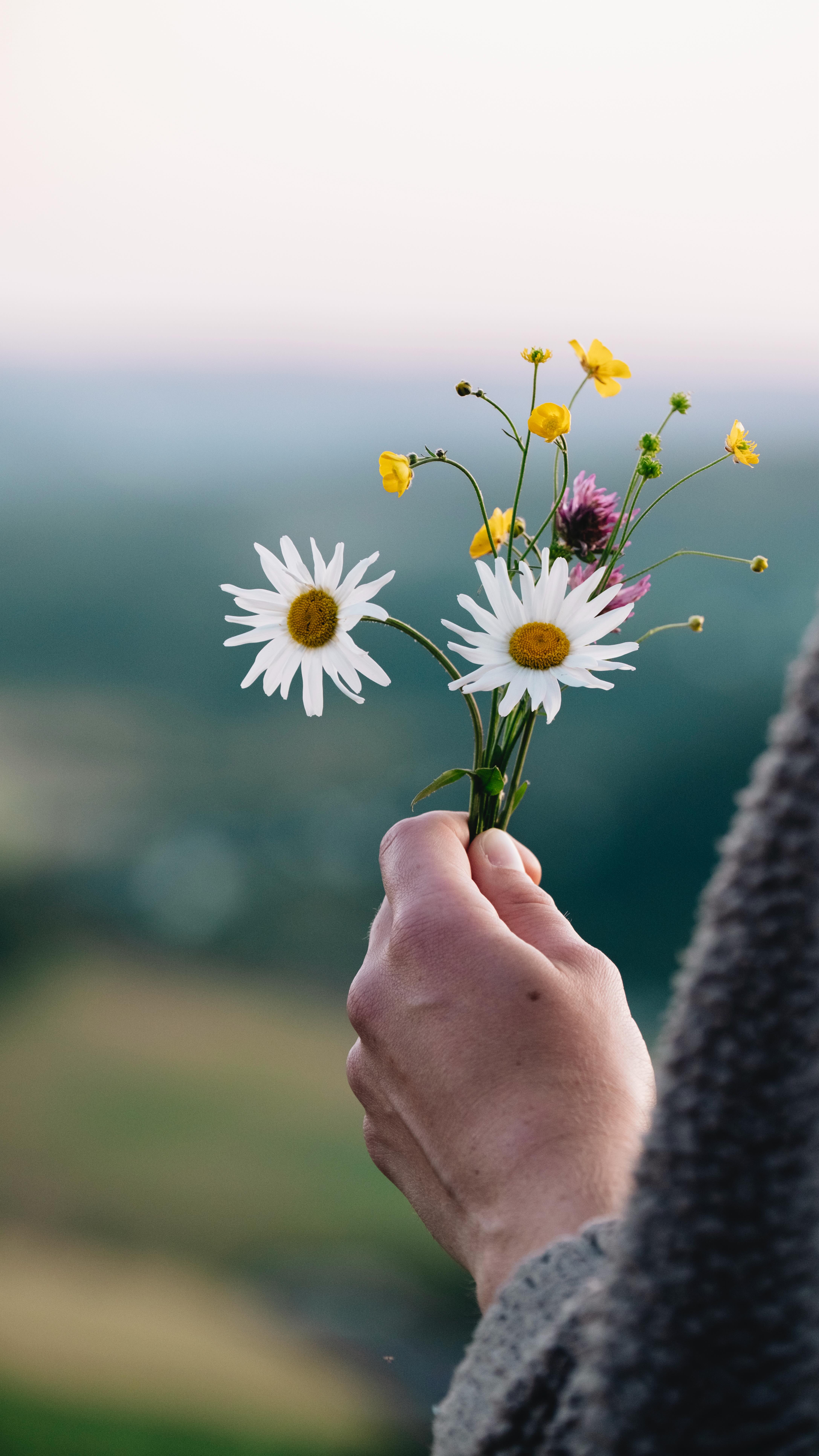 Ein Sommerabend voller Farben, Düfte und dem sanften Rauschen der Wälder 🌼✨
Sonnenuntergänge sind doch einfach das allerbeste Kino, oder? Der Eintritt ist frei, ein paar Mückenstiche und Waldbeersnacks gibt es übrigens gratis dazu 🦟
#storytelling #dreamingtones #siwierleben #siegenwittgenstein #rothaarsteig #landkind #folkscenery #femaleexplorer #livemoremagic #calmcollected #myseasonalstory #openairkino