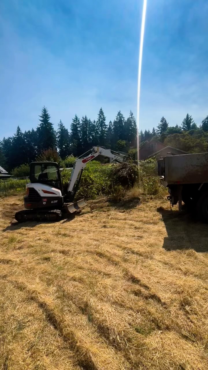 We also offer brush clearing service’s 🫡