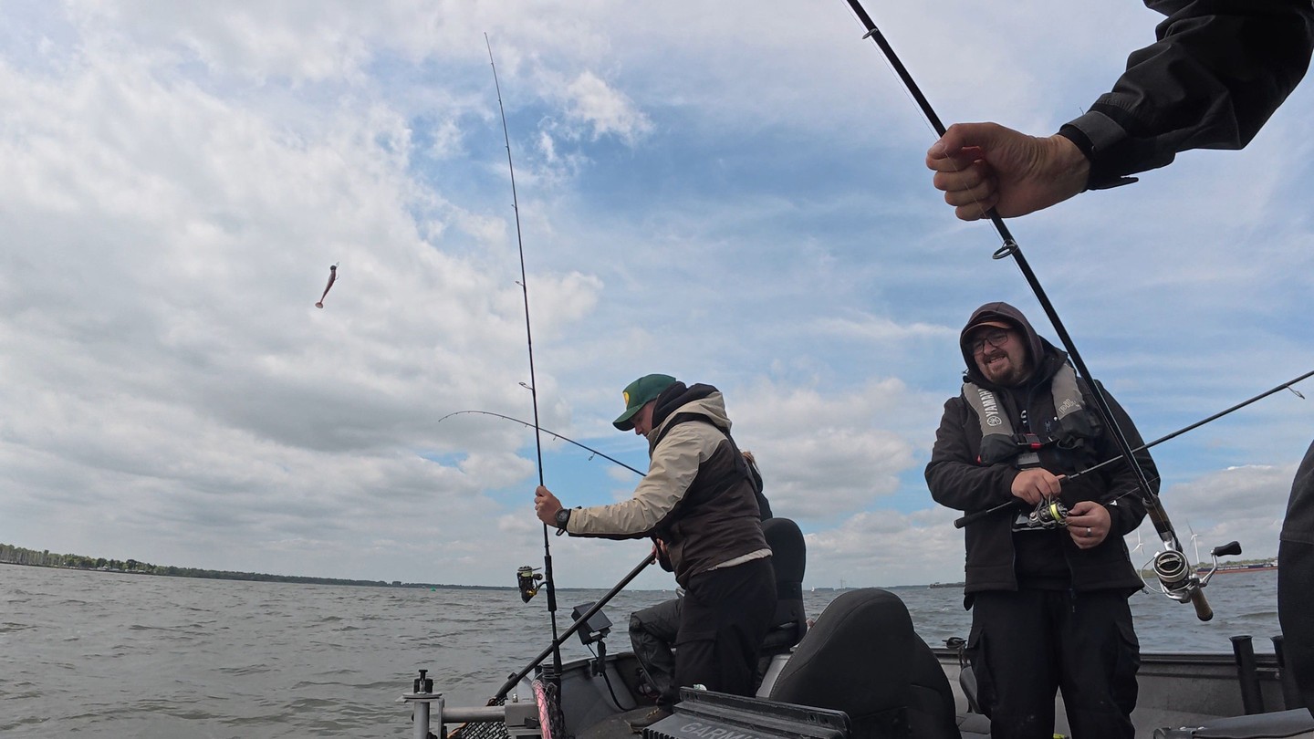 Vakantie-update: gidsen hervat in augustus!
Ik ben momenteel met vakantie, maar vanaf augustus wordt het gidsen weer hervat. Er is echter nog maar weinig beschikbaar in augustus, dus wees er snel bij als je nog mee wilt! De volgende data zijn nog vrij: 10, 13 en 19 augustus.
Snoekbaarstips? Check mijn blog op de website: https://www.lurefishingguide.com/