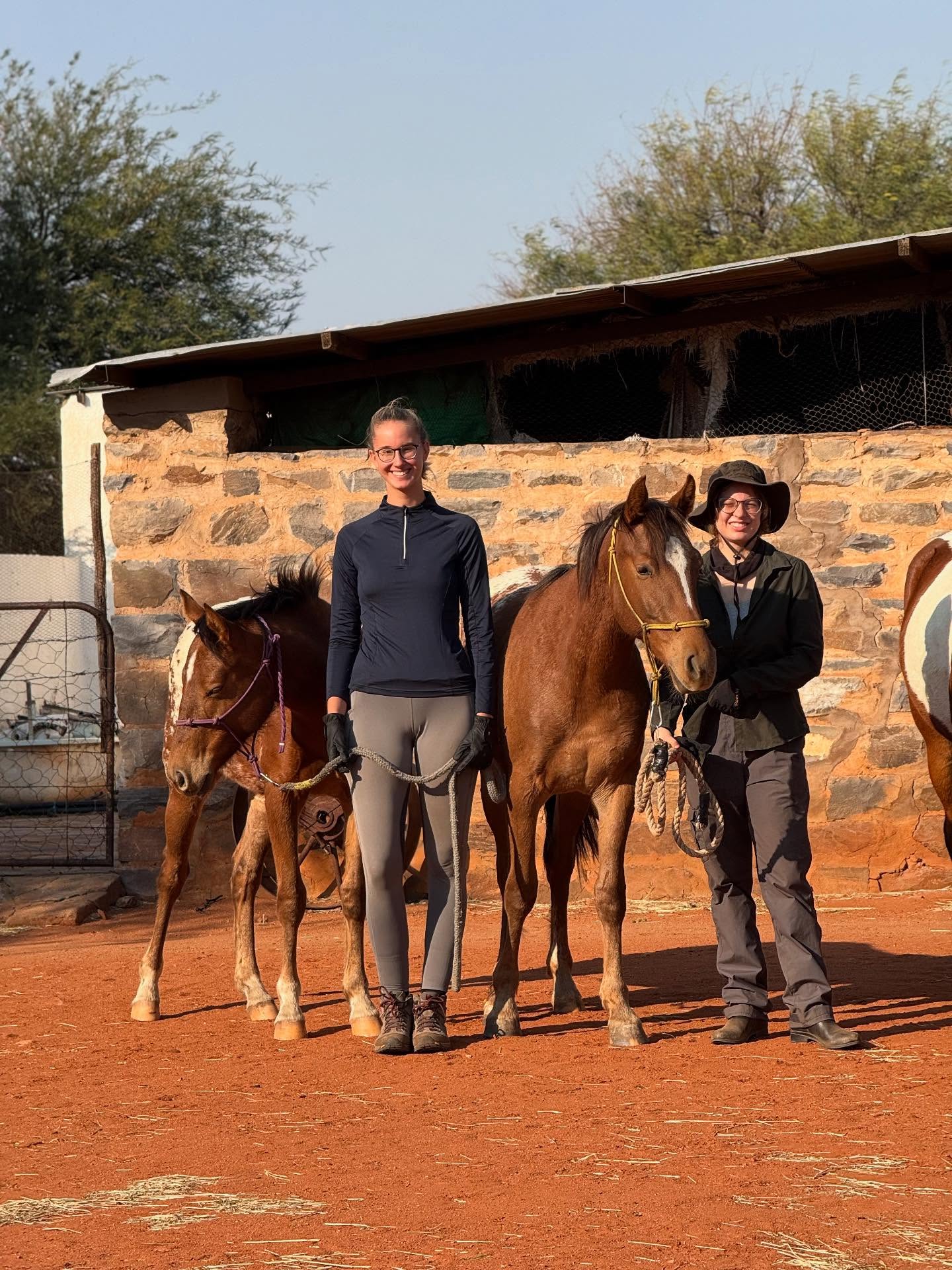 Our working holidays girls and baby horses after the baby horses handling session ❤️
#foals #babyhorses #horsehandling #horselife #foalsofinstagram #horsesnamibia #workingholidayafrica #volounteerwork
