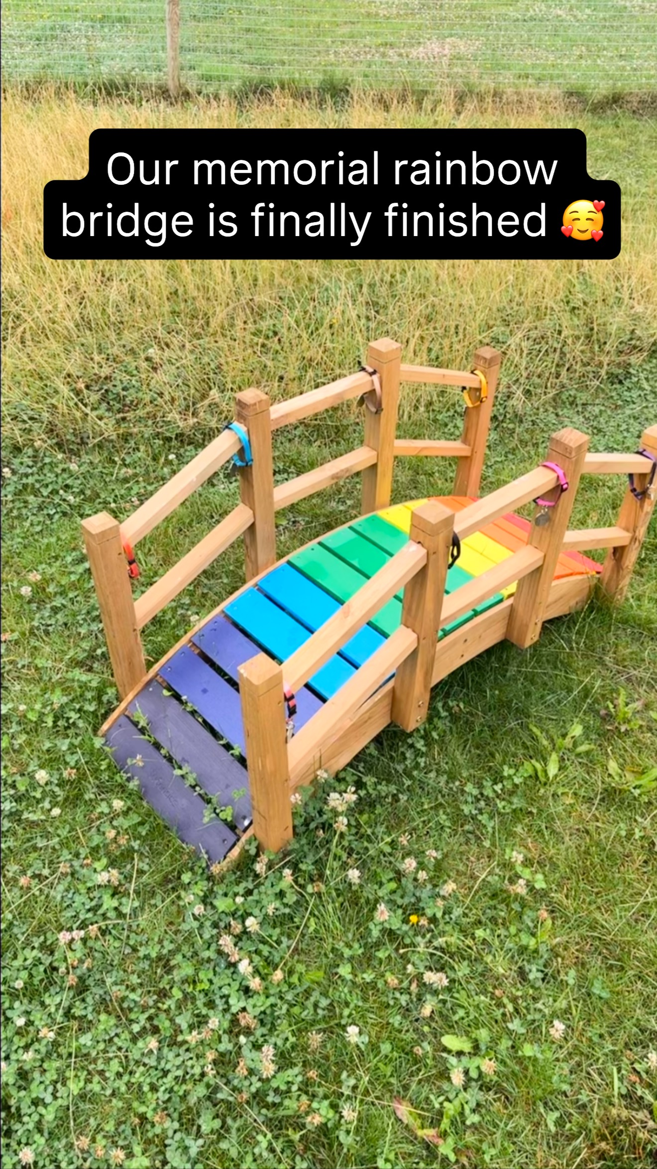 We wanted to honour the dogs we have loved and lost with a place within our pack forever. So we made something really special.  Thank you so much to @thestatelyhound for the beautiful tags. #rainbowbridgedogs #doggydaycareuk #remember #dogmemorial #petmemorial #lovedandlost #rainbowbridge #neverforget #family #doggydaycare #pawsomedays #dogsofinstagram #overtherainbow