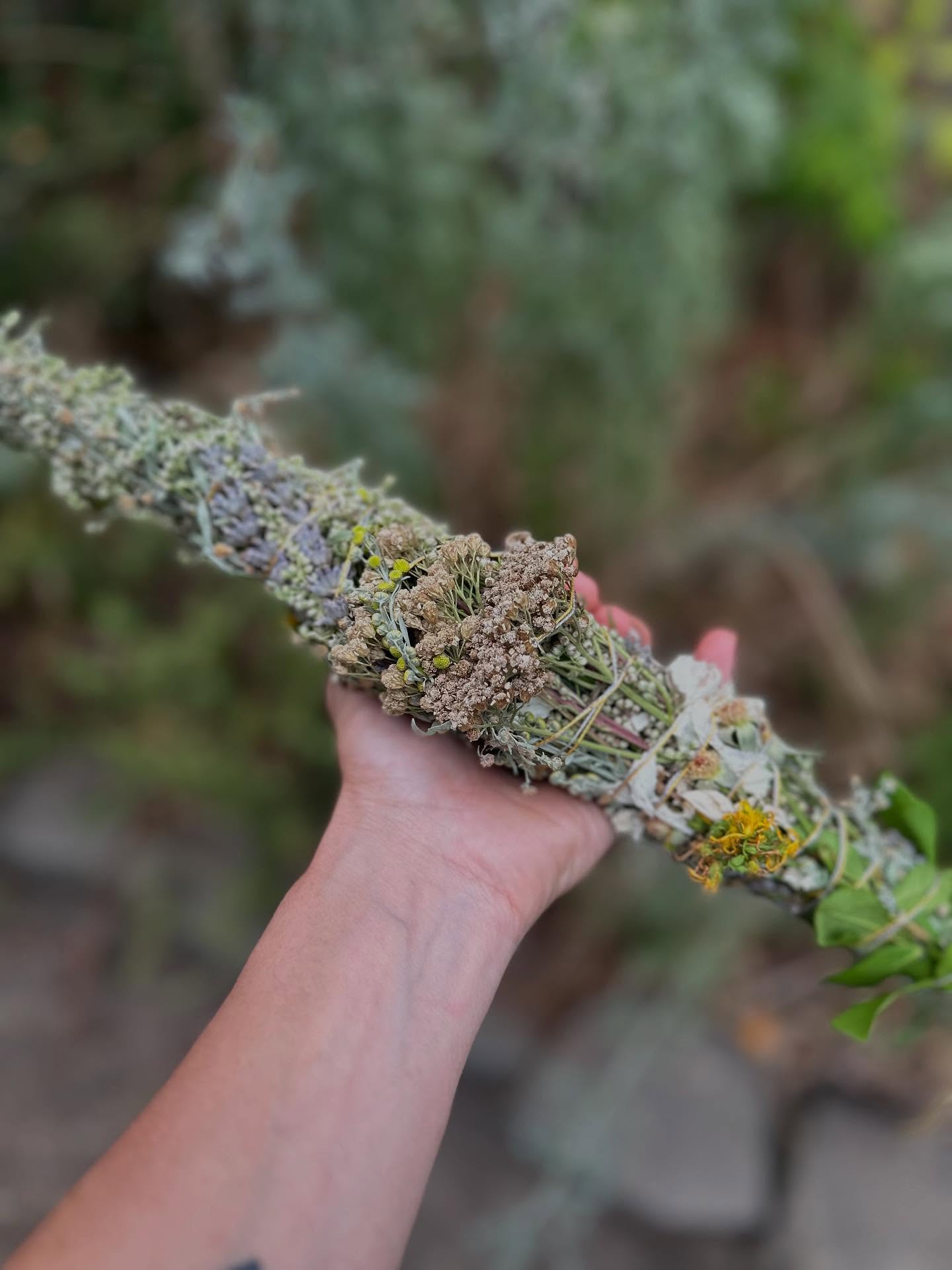 The summer stride. Bruised apples turn to medicine, small hands help in the work. The days are hot and the skin kissed pink. Lavender bundles send us off to sleep.