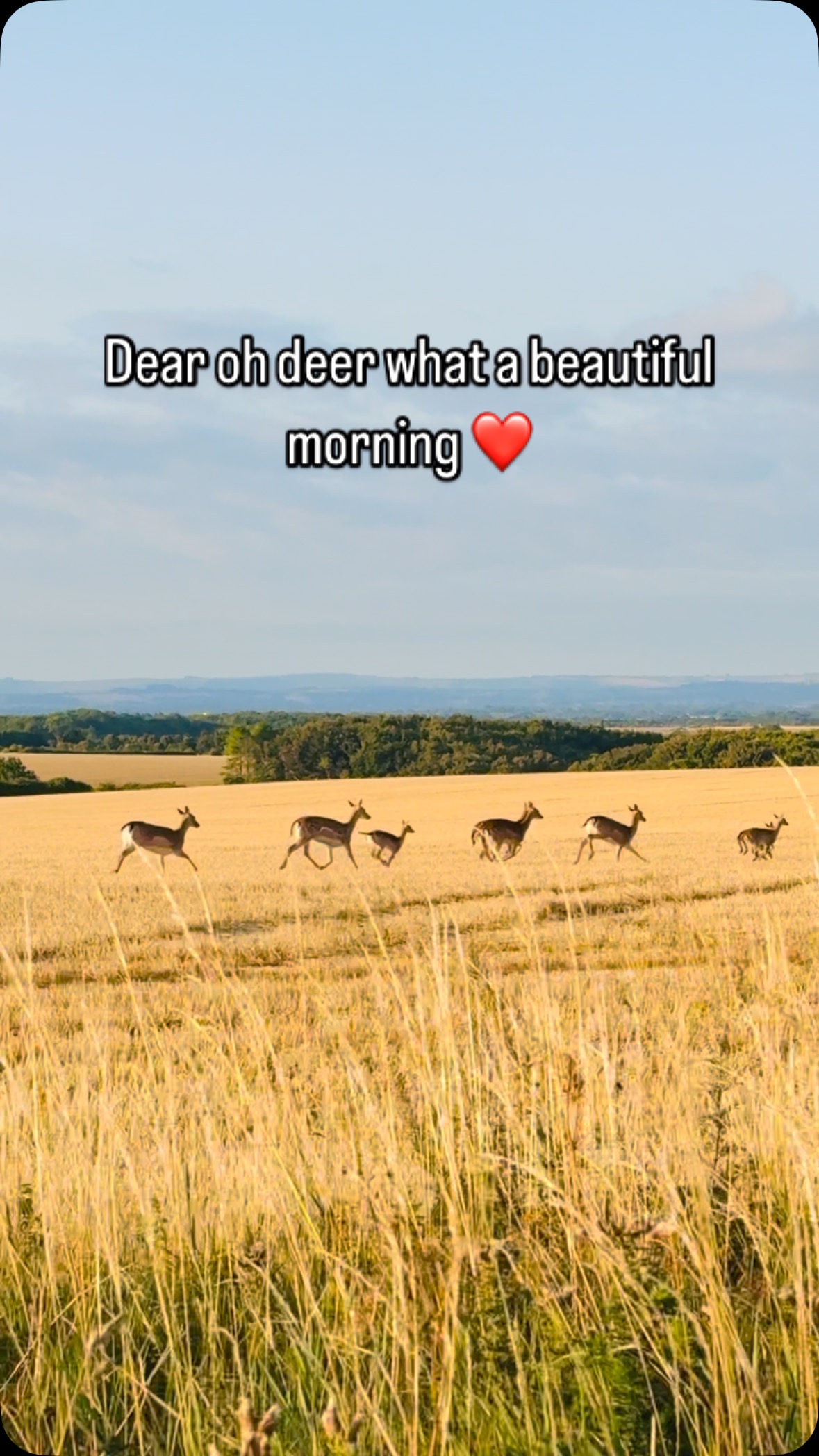 The best time of year for wildlife spotting in the Cotswolds. #cotswolds #wildlife #goodmorningworld