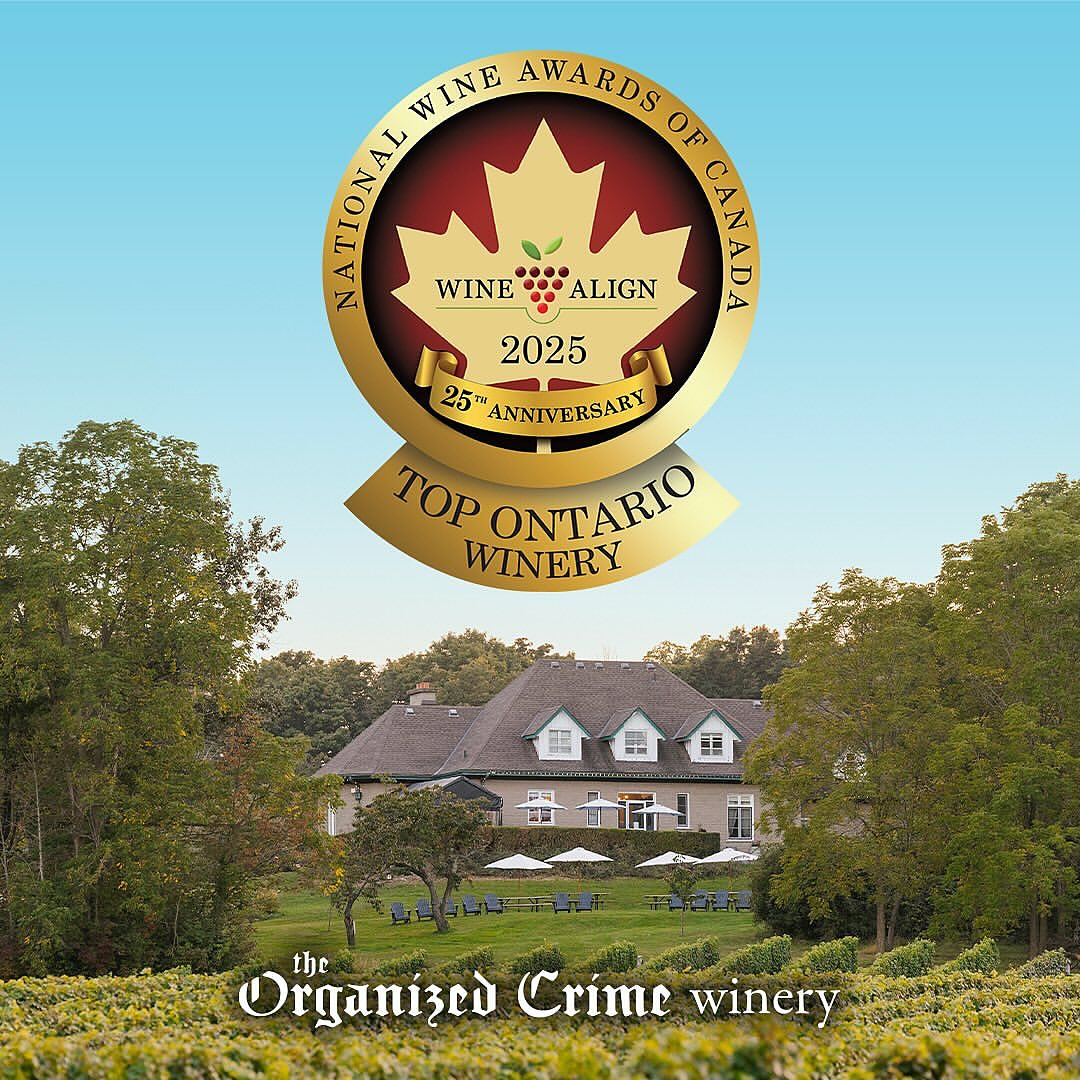 We’re raising a glass 🥂 to The Organized Crime Winery—officially named the #1 Winery in all of Ontario by @WineAlign at the 2025 National Wine Awards of Canada! 🏆🍷
This honour is a reflection of the passion, precision, and artistry that define the Niagara Benchlands. From vineyard to bottle, our local wineries continue to craft excellence—and Organized Crime is leading the way.
Discover what makes the Benchlands a top wine destination in Canada. Visit the Beamsville Bench, sip the award-winning collection, and experience the magic of wine country, redefined.
#NiagaraBenchlands #BeamsvilleBench #TopOntarioWinery2025 #OrganizedCrimeWinery #WineAlign #NWAC25 #CanadianWine #OntarioWineExcellence #SipTheBench #ExploreNiagaraBenchlands @townoflincolnon @visit_niagara
📸 from @organizedcrimewinery