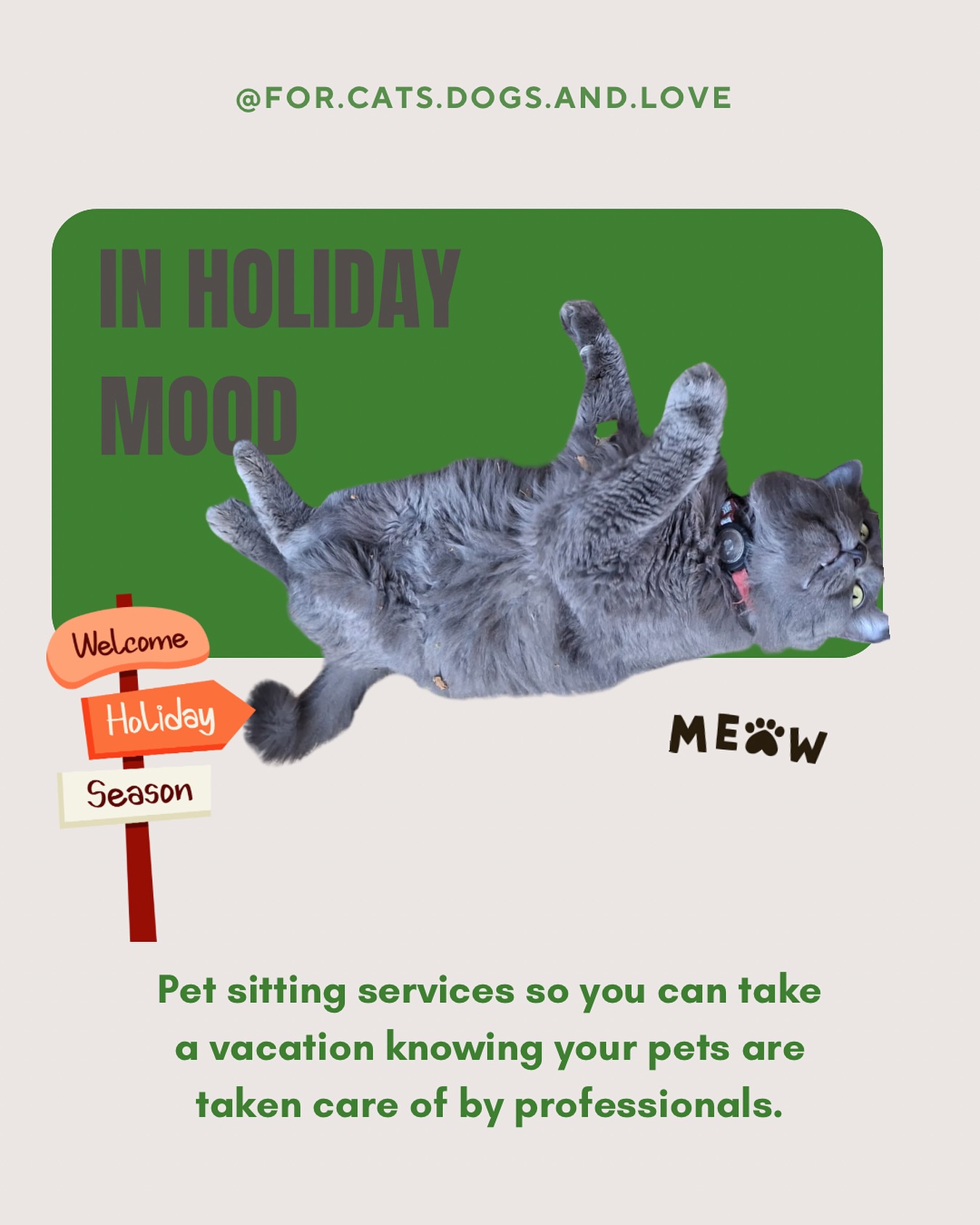 When you go on holidays, your pets have the house to themselves 😎 We make sure they have everything they need so it’s a win win! They are on holidays too 🙌🏼🐱🐶